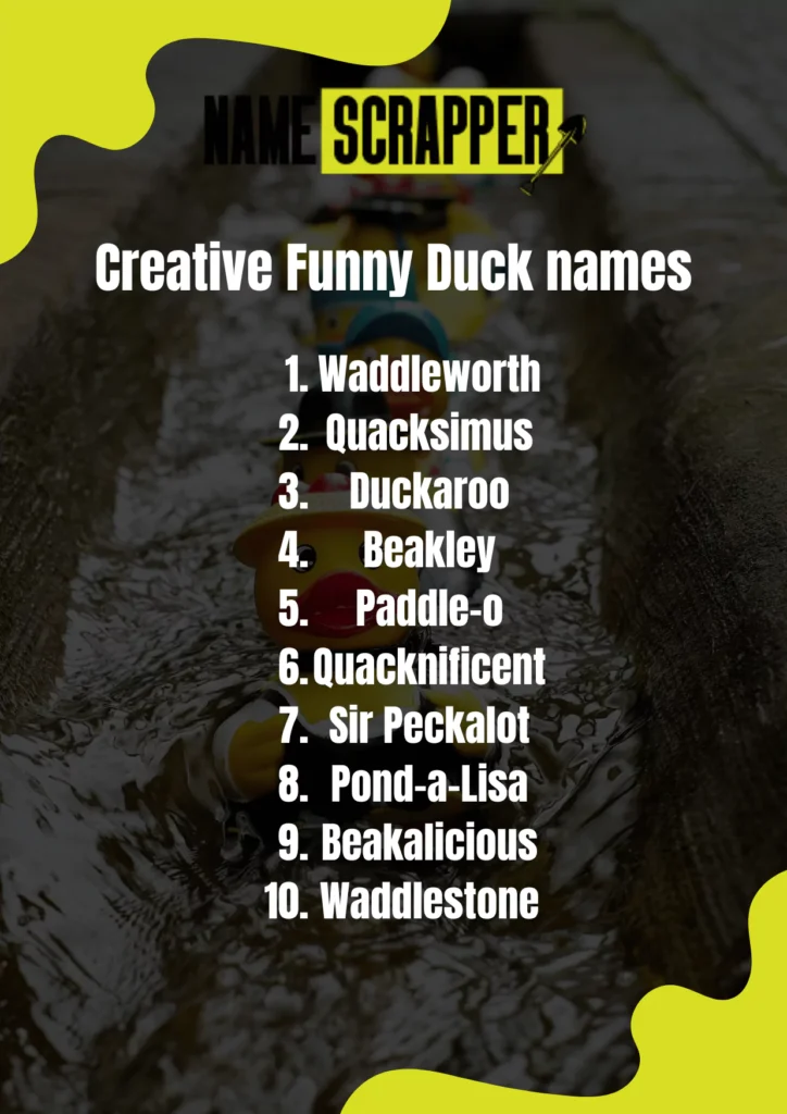 Creative funny duck names