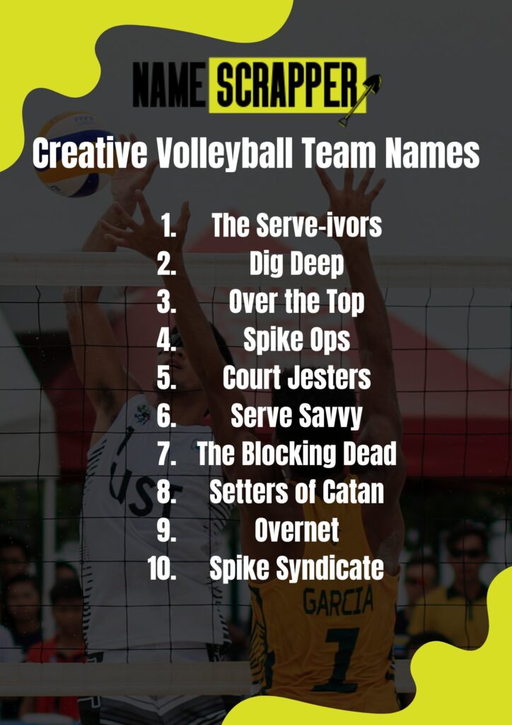 creative volleyball team name