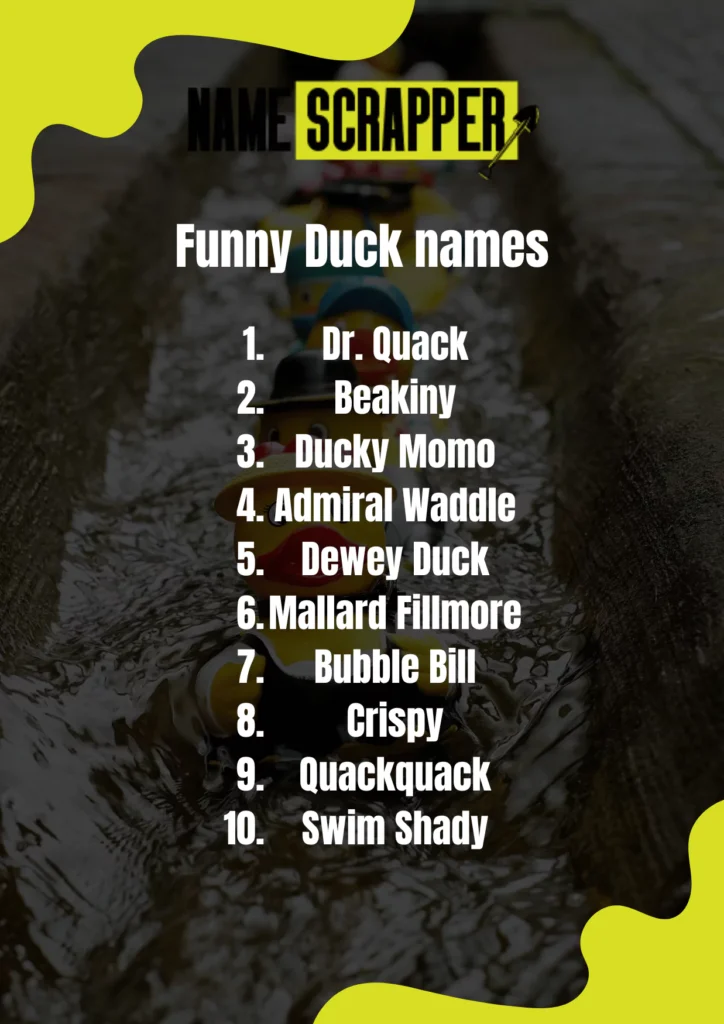 funny duck names