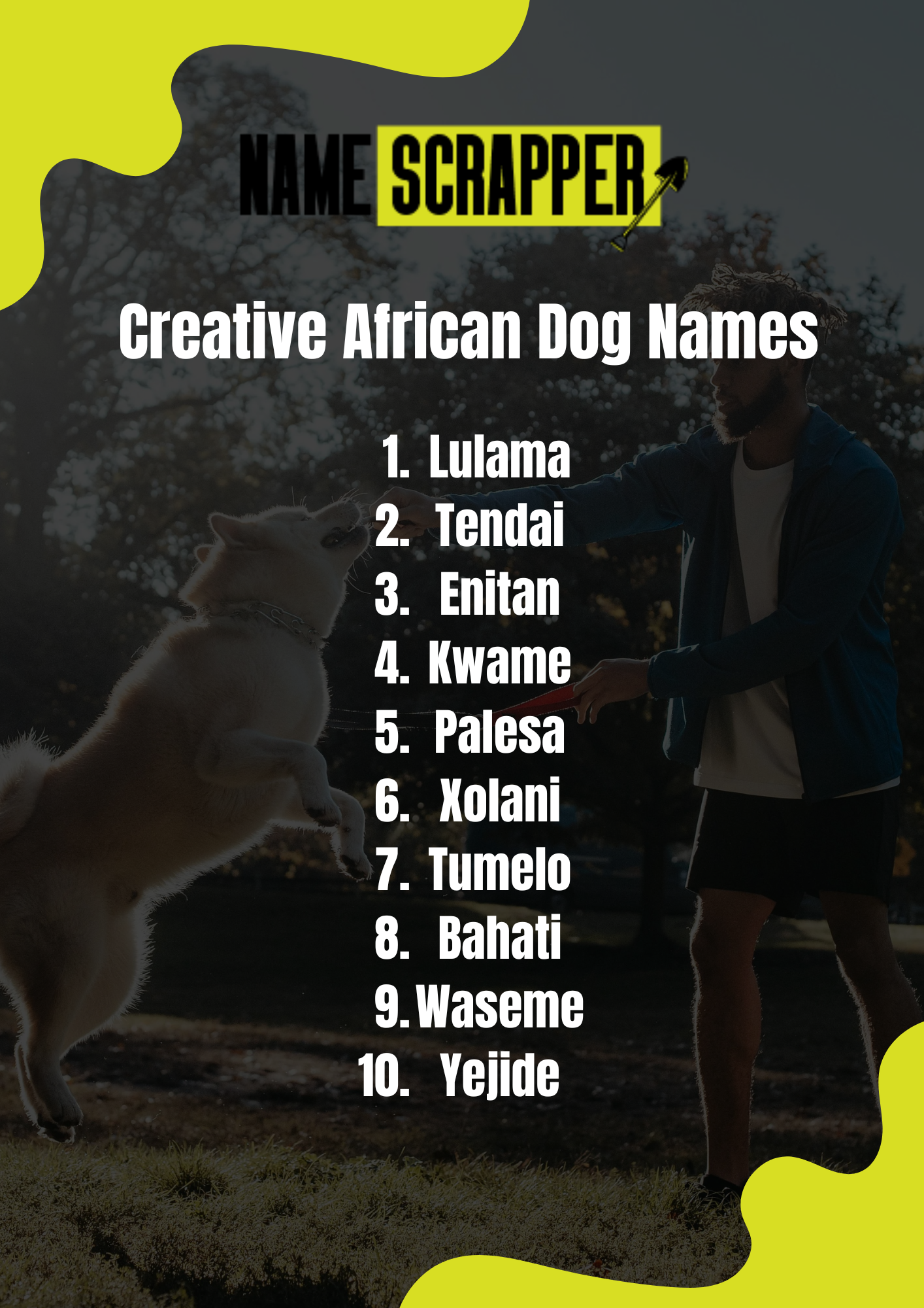 Creative African Dog Names