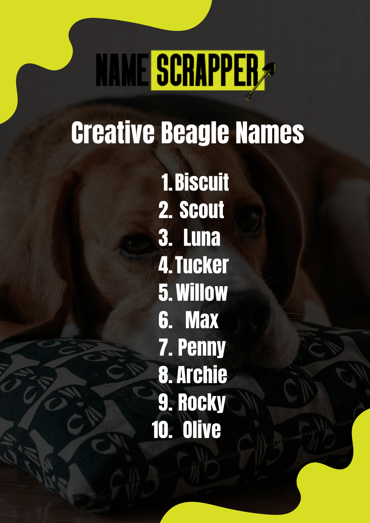 Creative Beagle Names