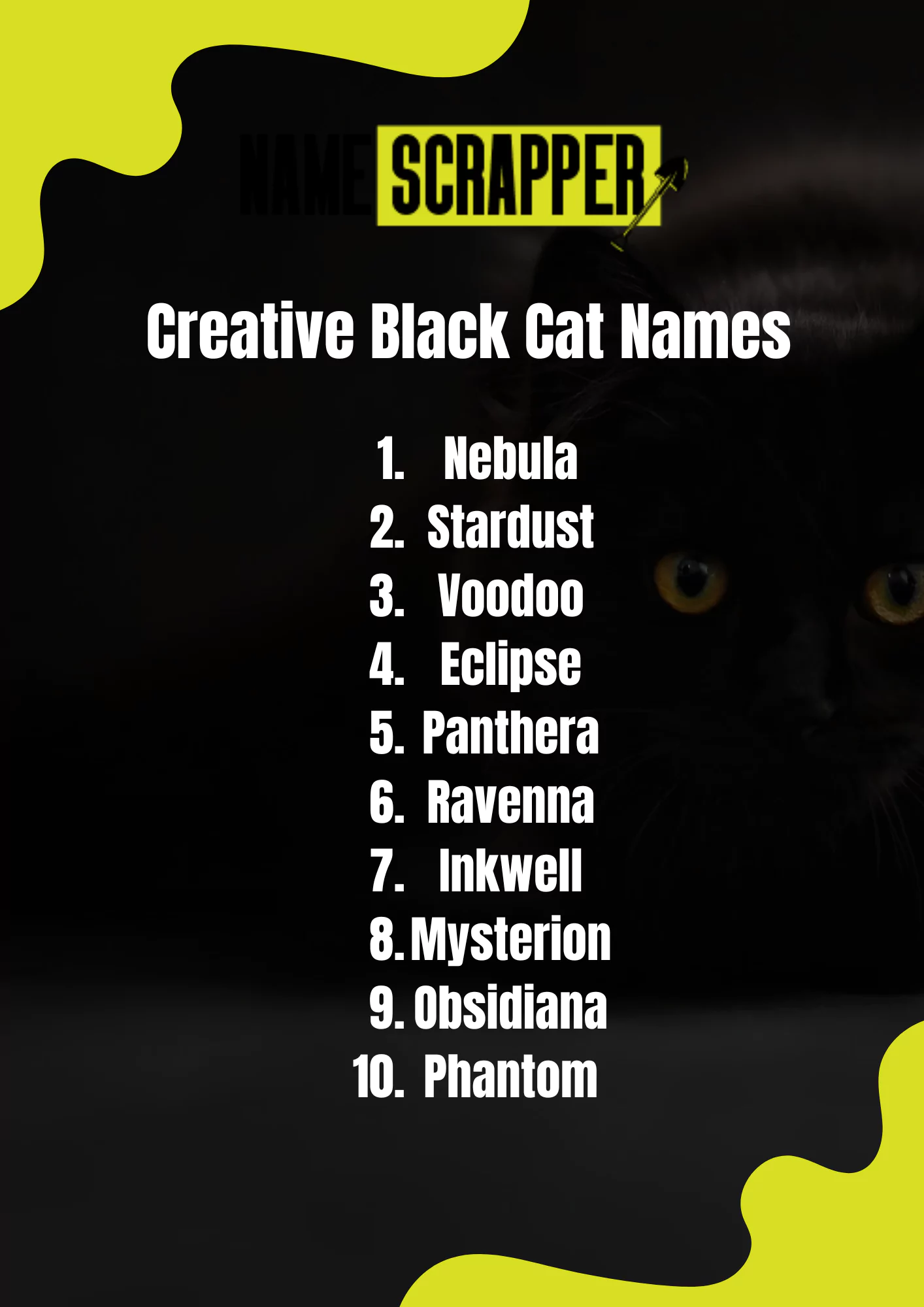 Creative Black Cat Names