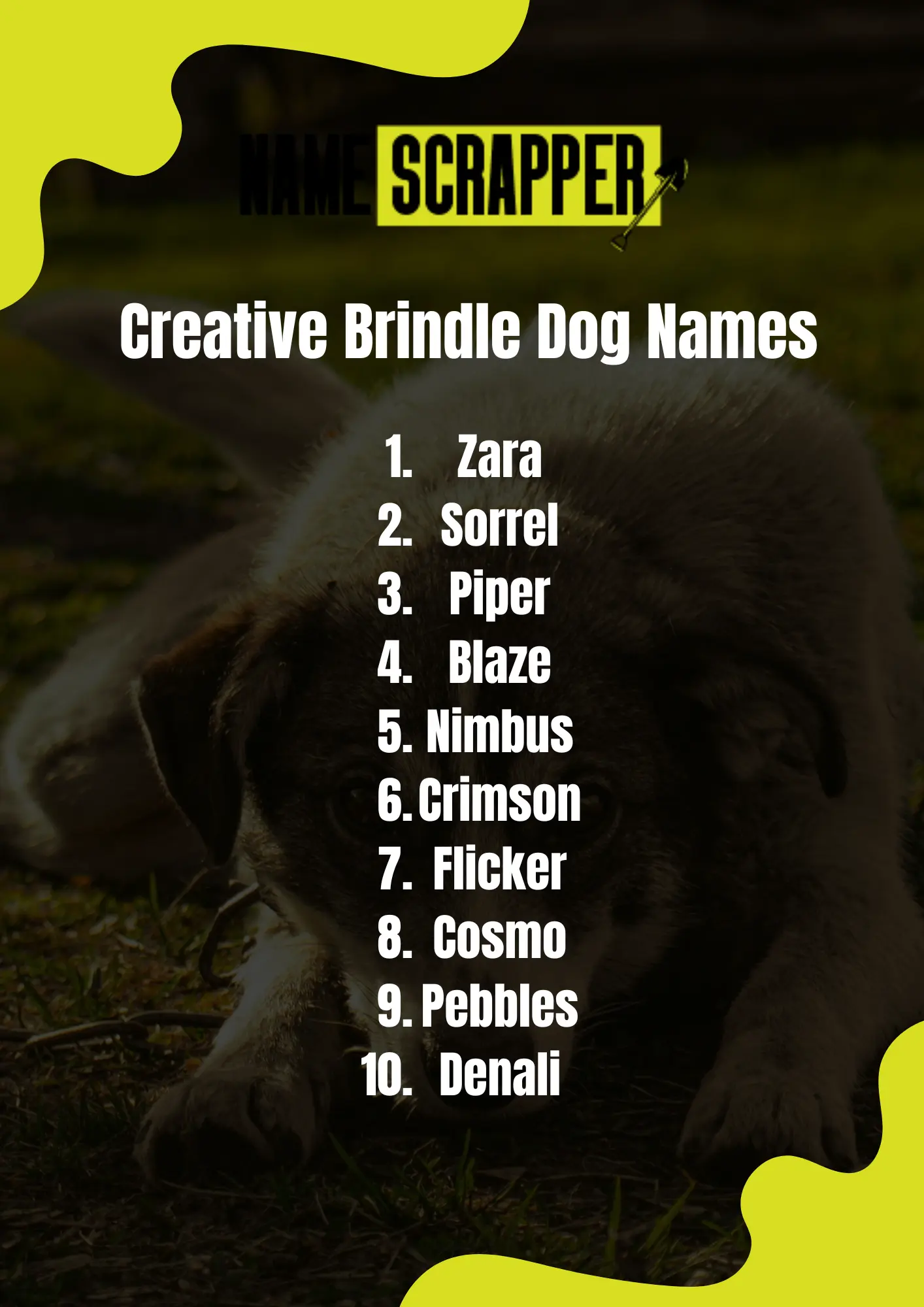 Creative Brindle Dog Names