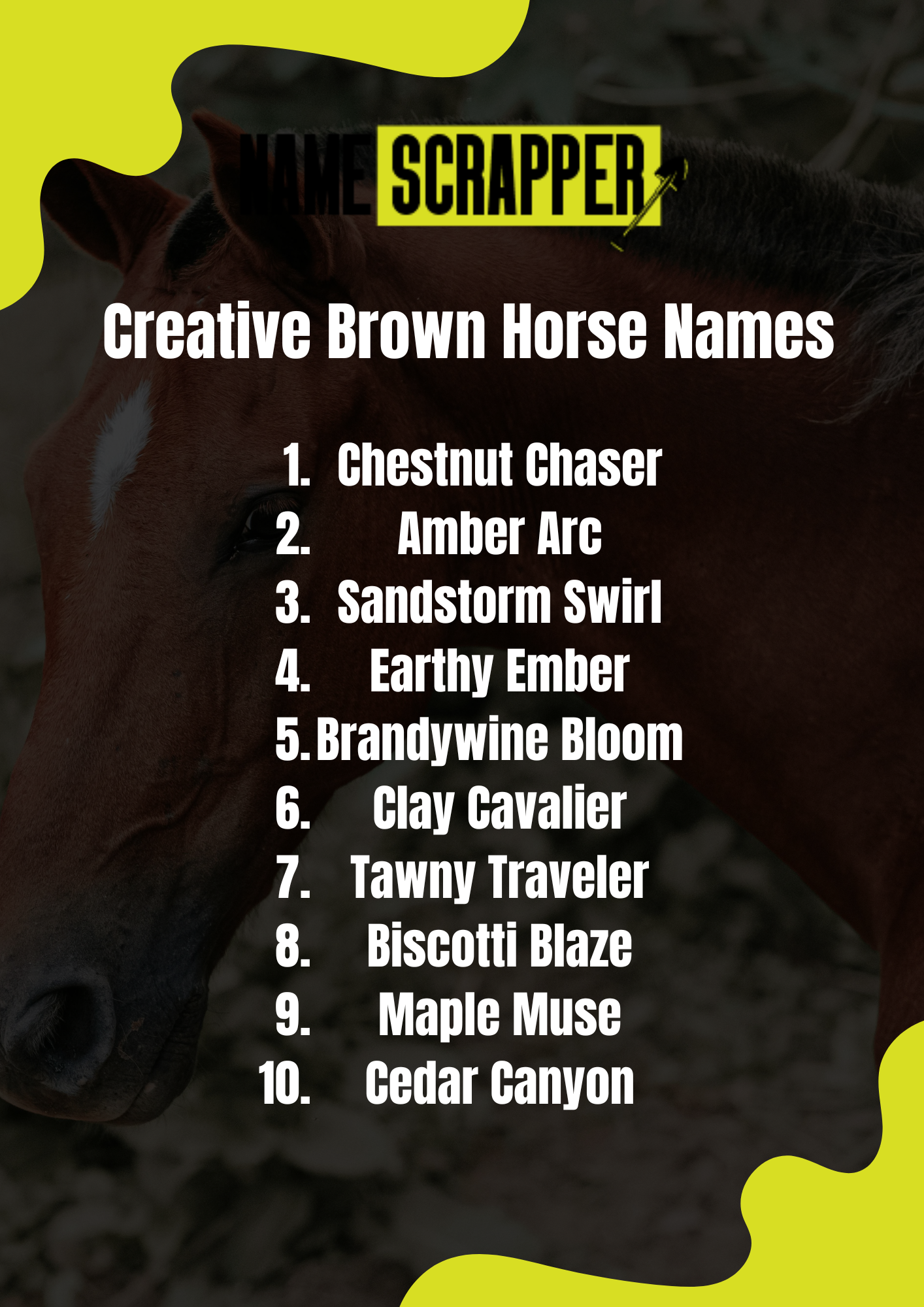 Creative Brown Horse Names