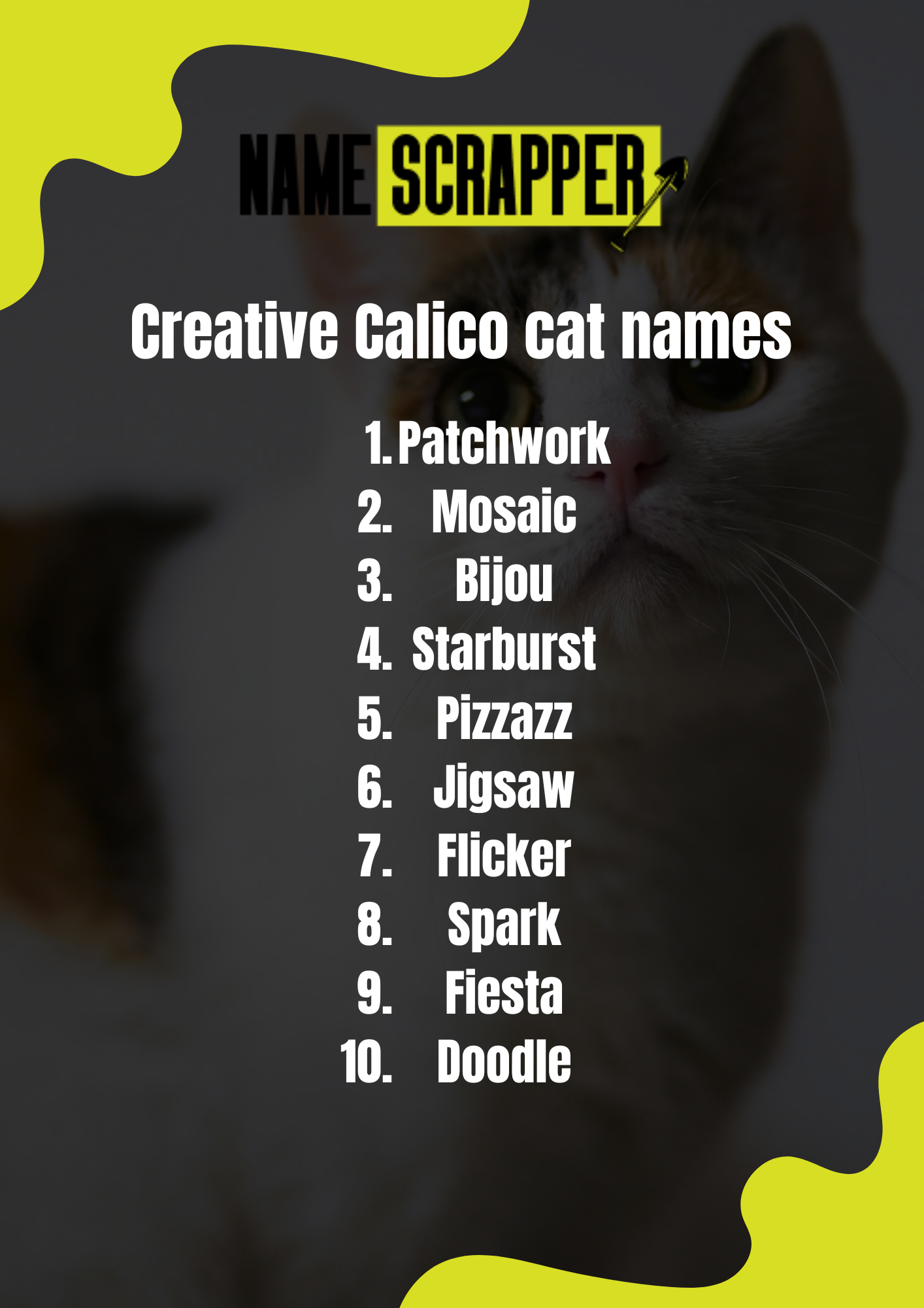 Creative Calico cat names