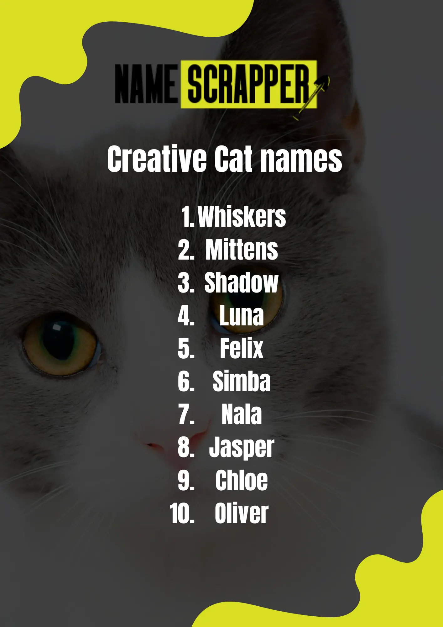 Creative Cat Names