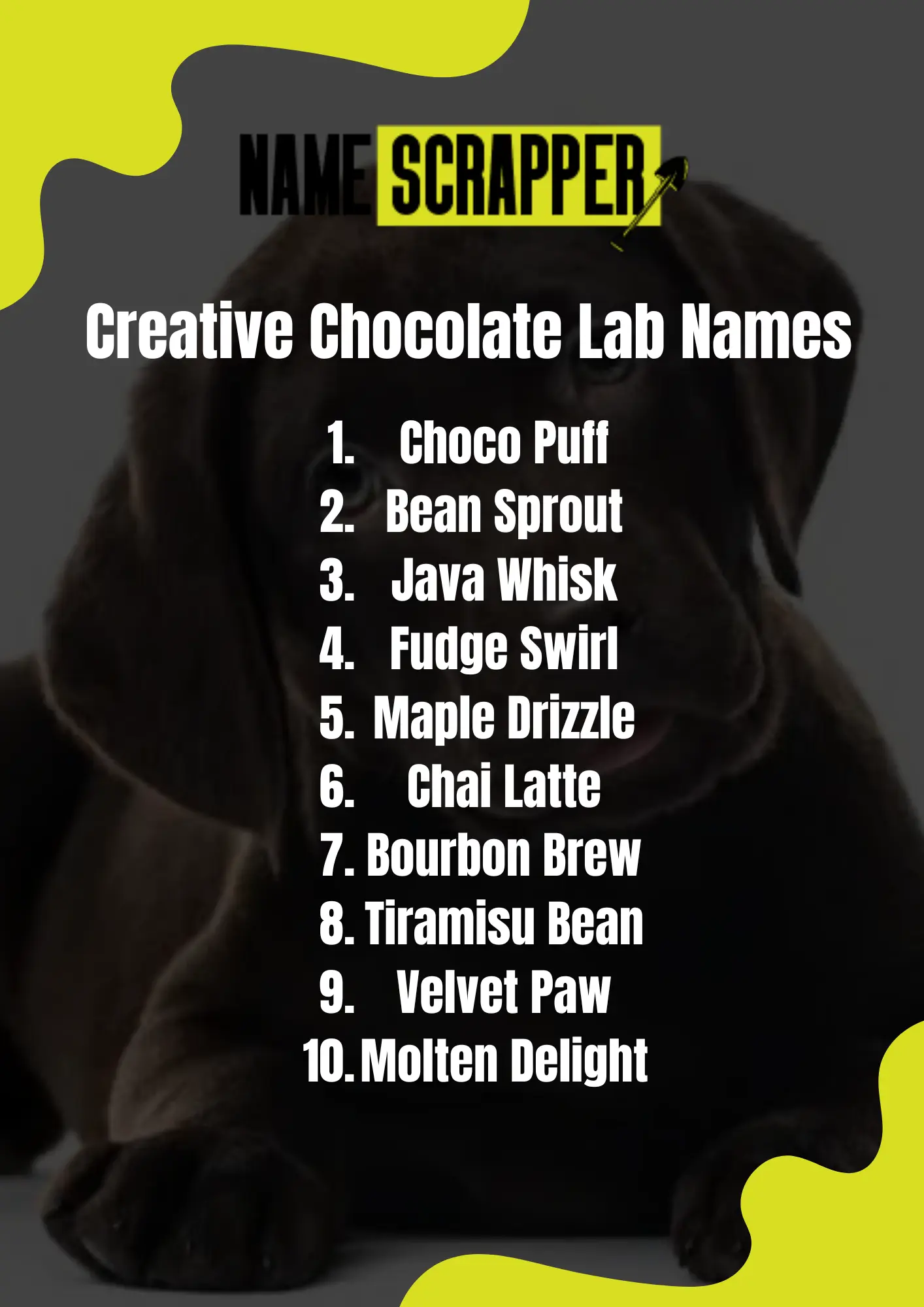 Creative Chocolate Lab Names