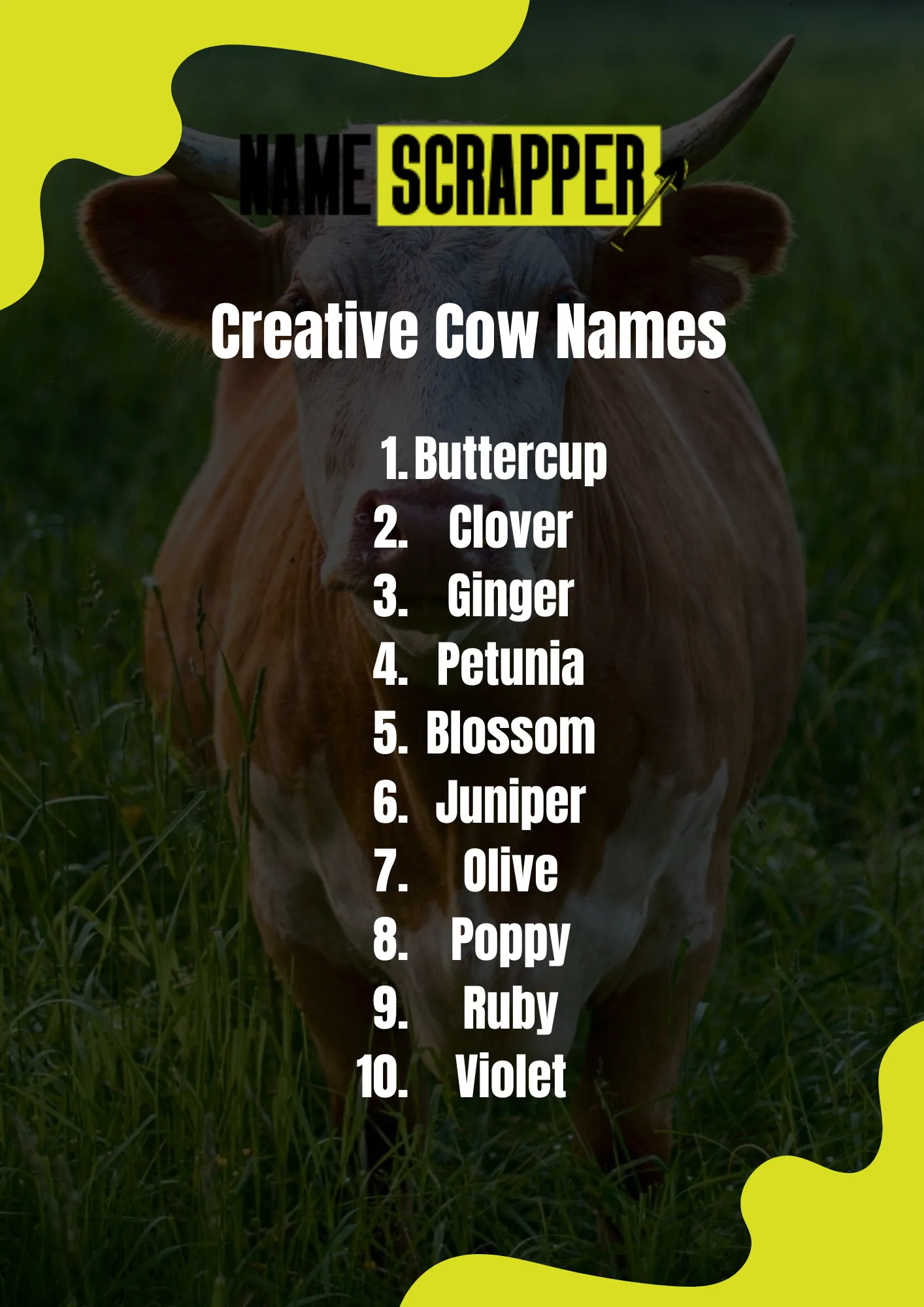 Creative Cow Names