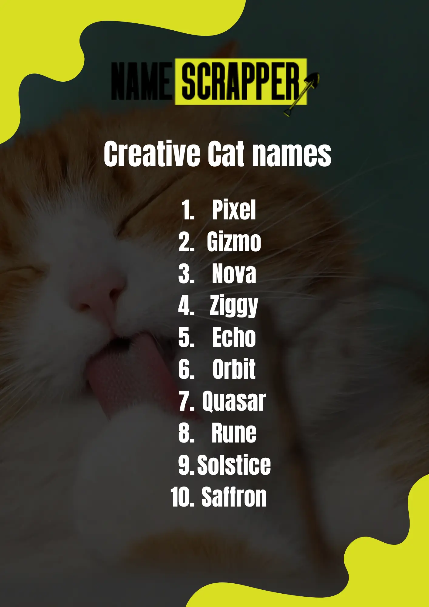 Creative Cute Cat Names