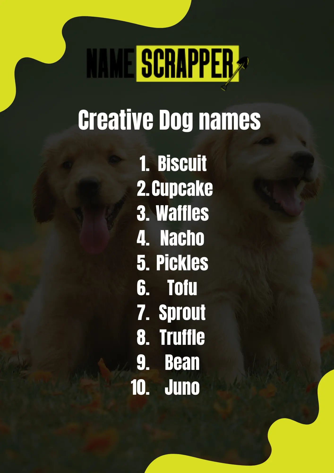 Creative Dog Names