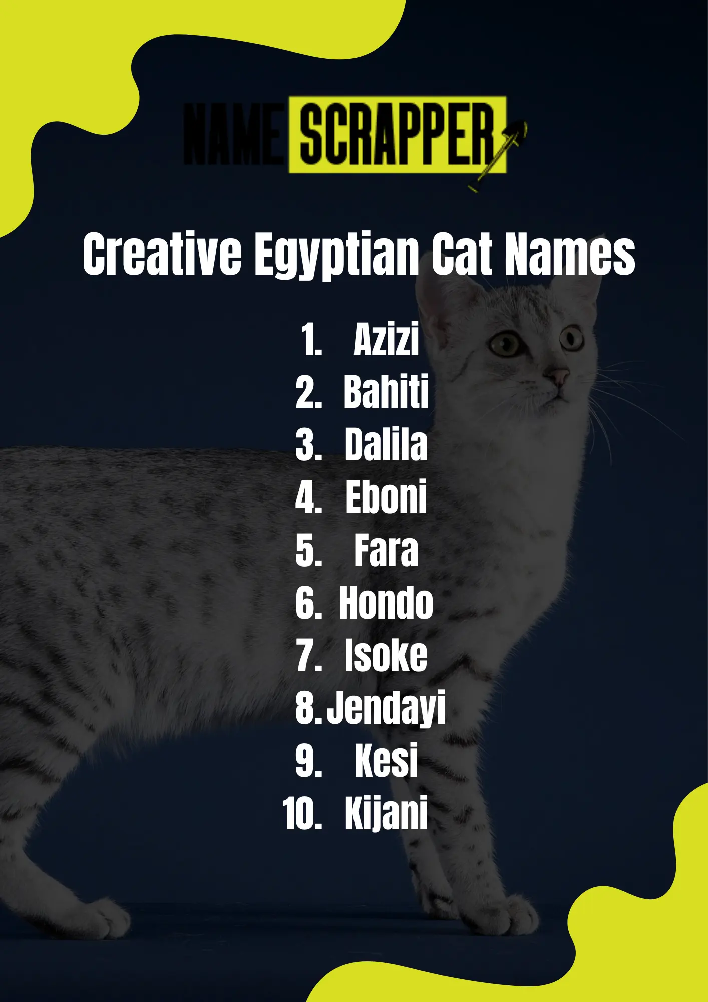 Creative Egyptian Cat Names