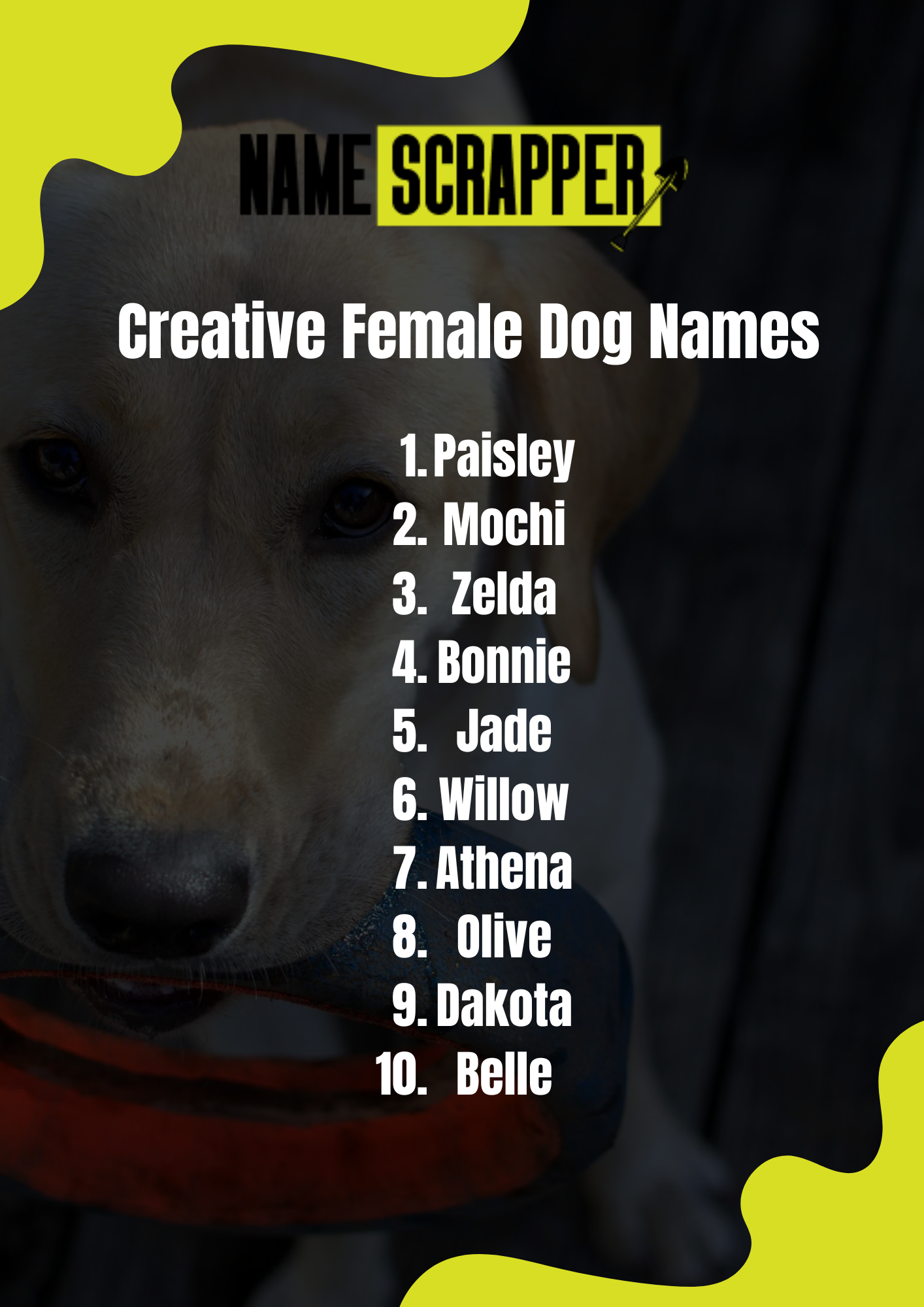 Creative Female Dog Names