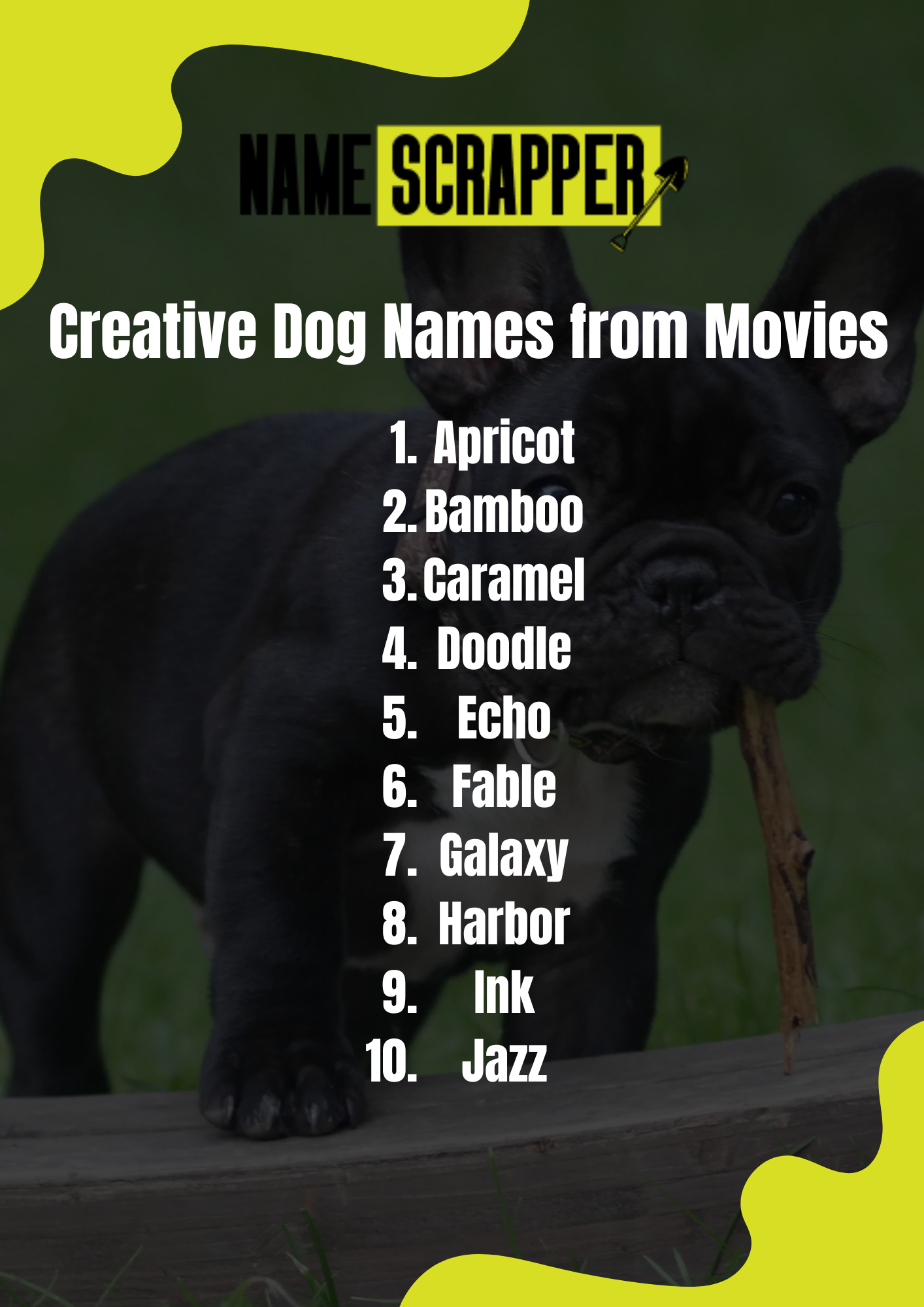 Creative French Bulldog names