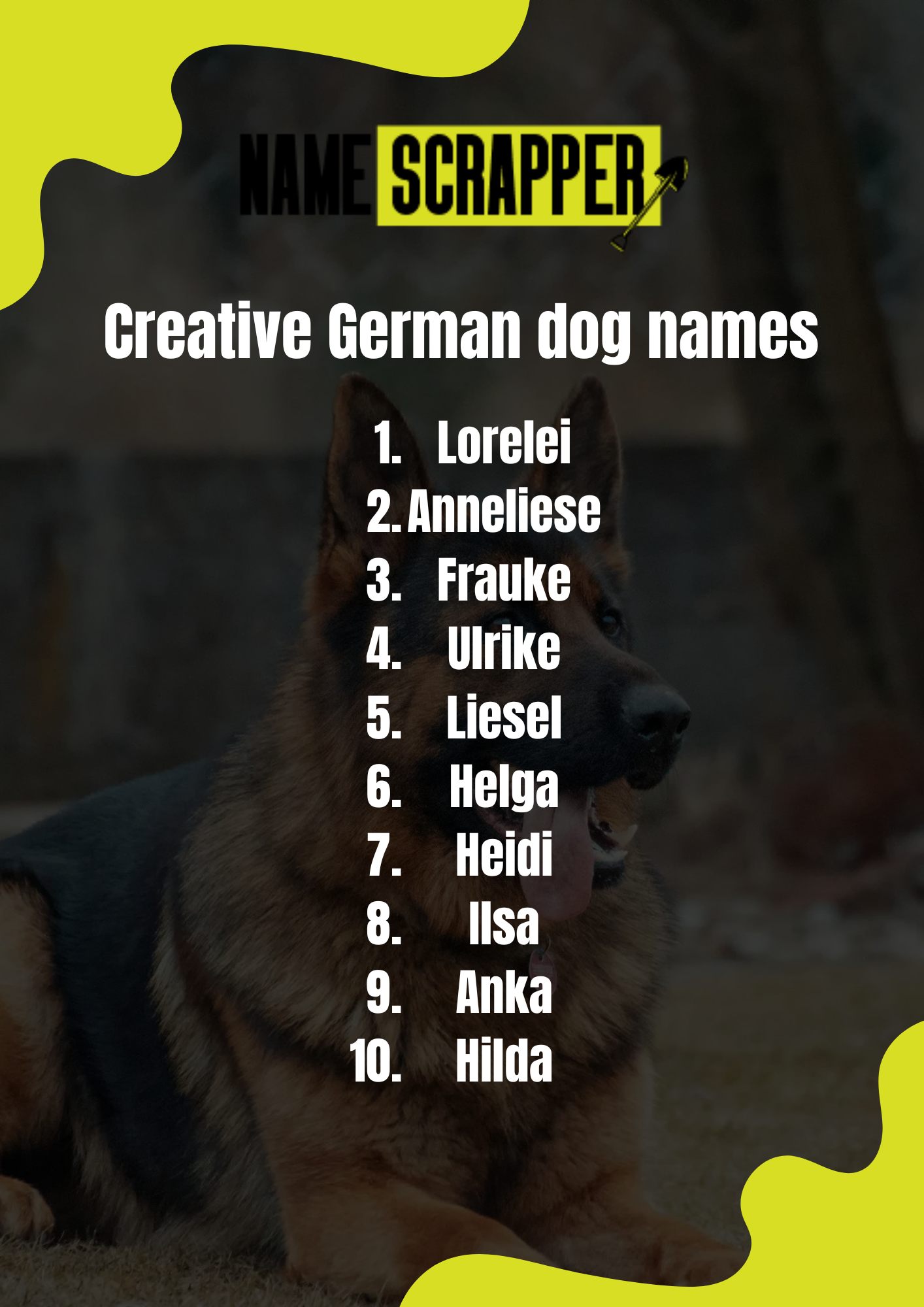 Creative German Dog Names