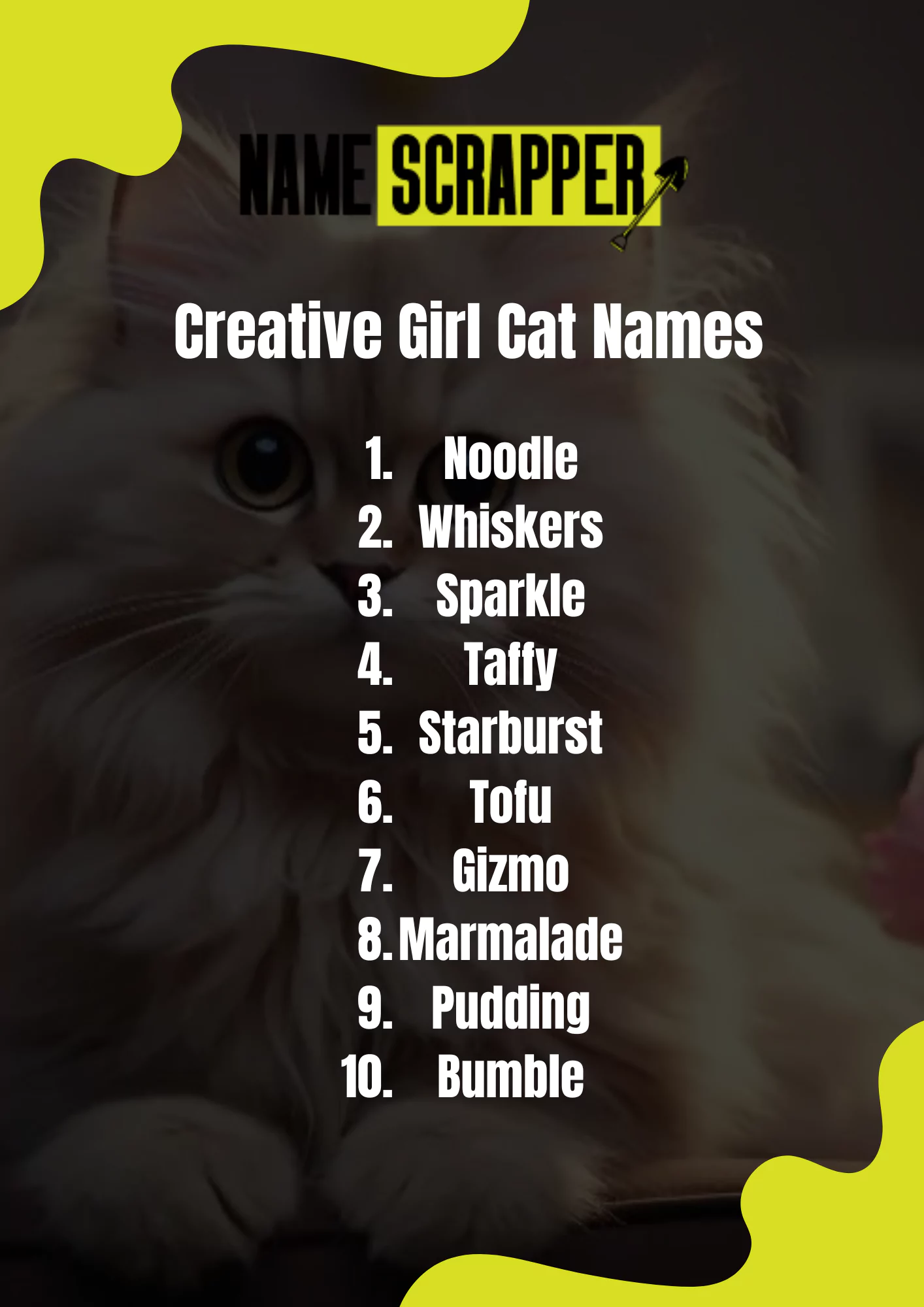 Creative Girl Cat Names