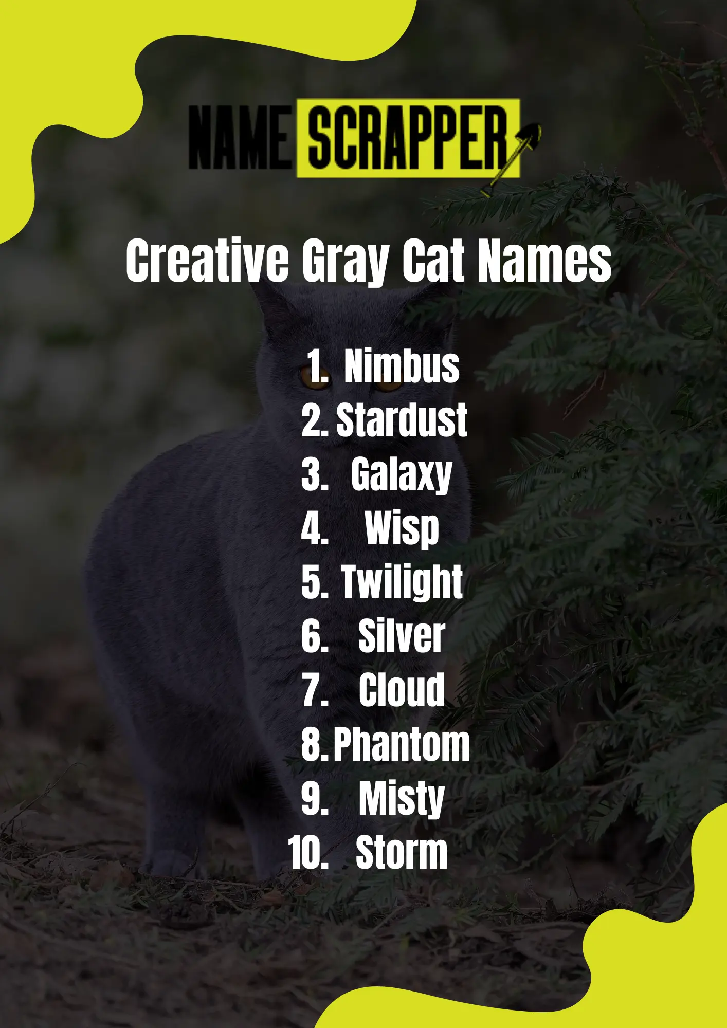 Creative Gray Cat Names