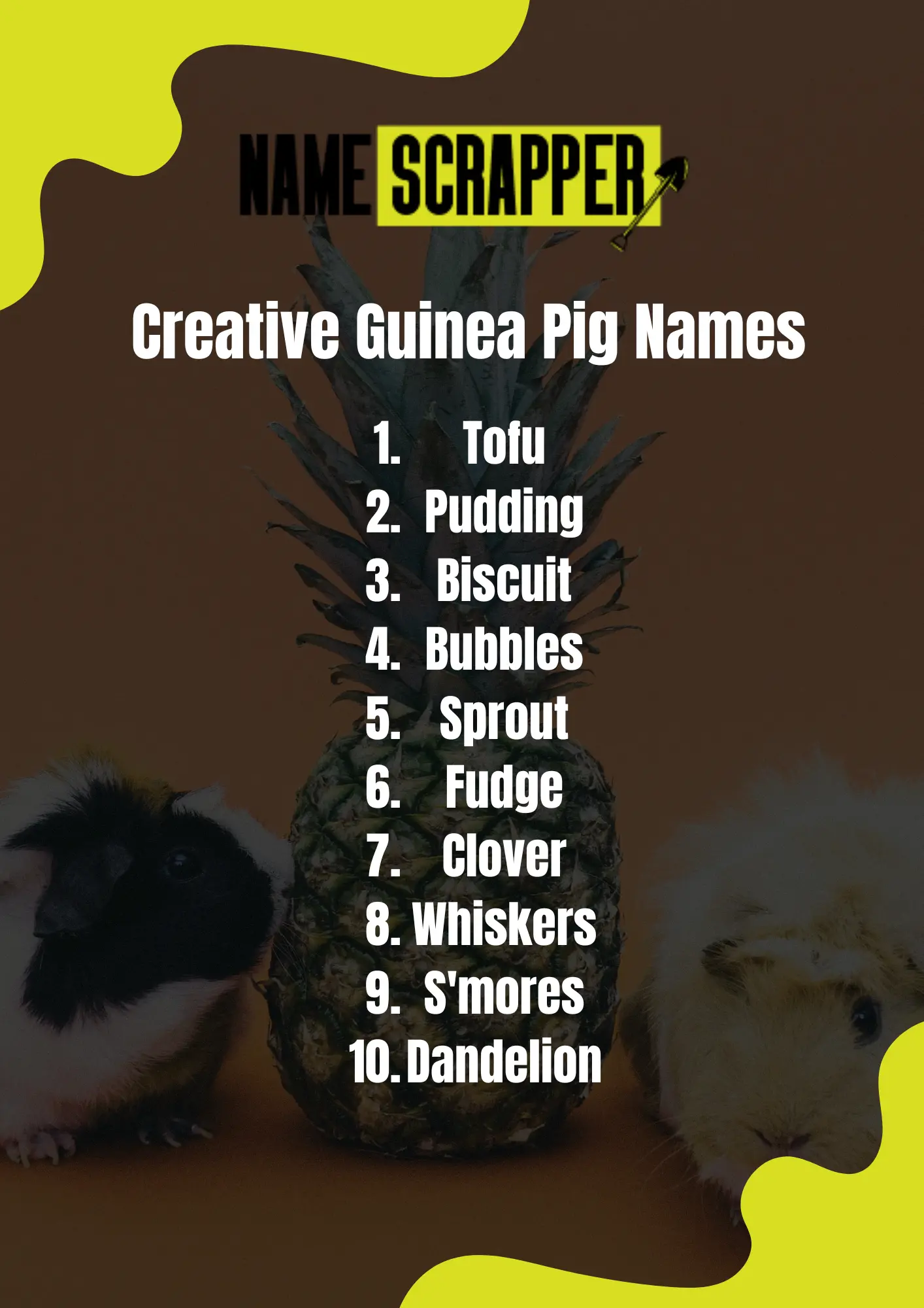 Creative Guinea pig names