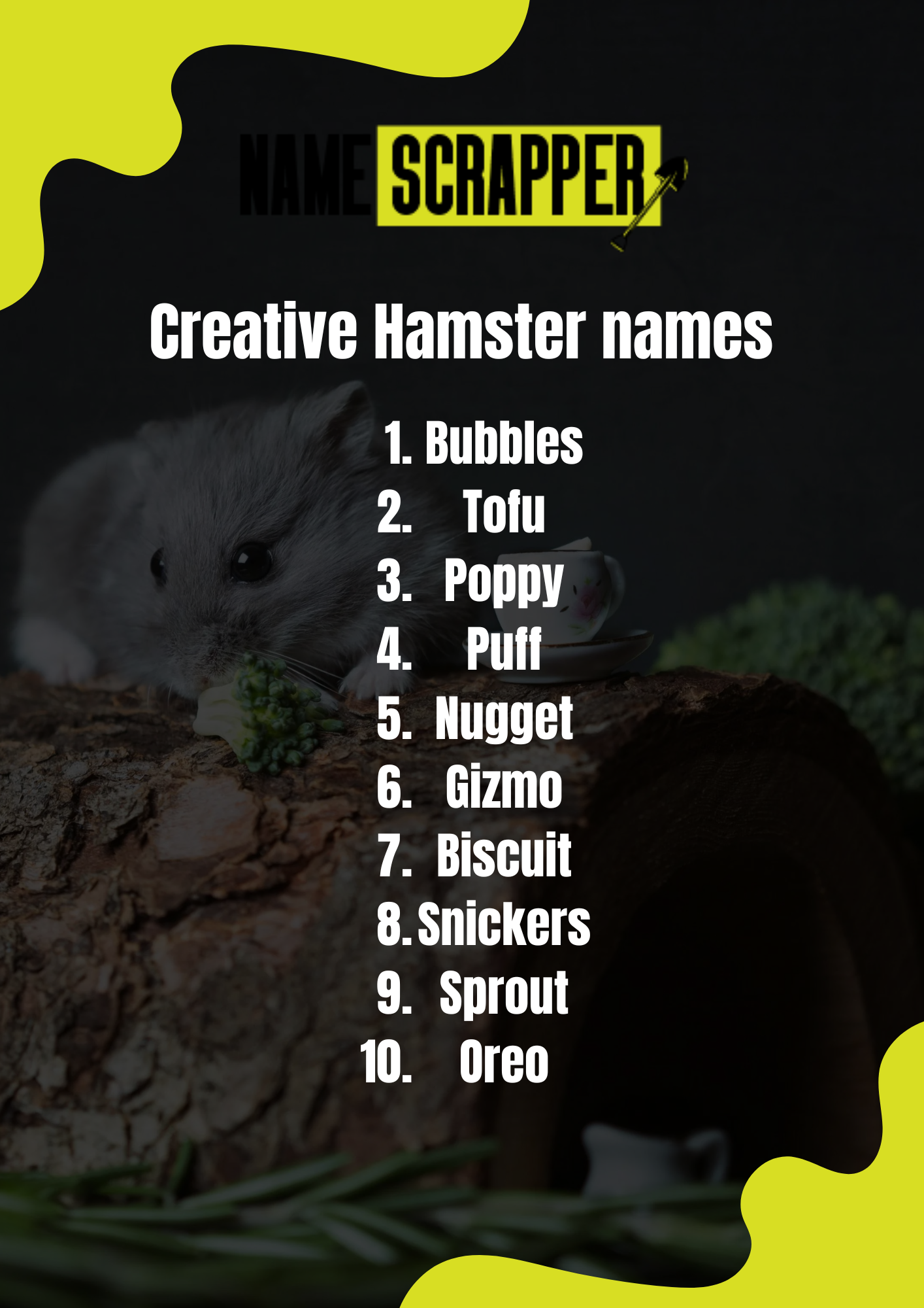 Creative Hamster names