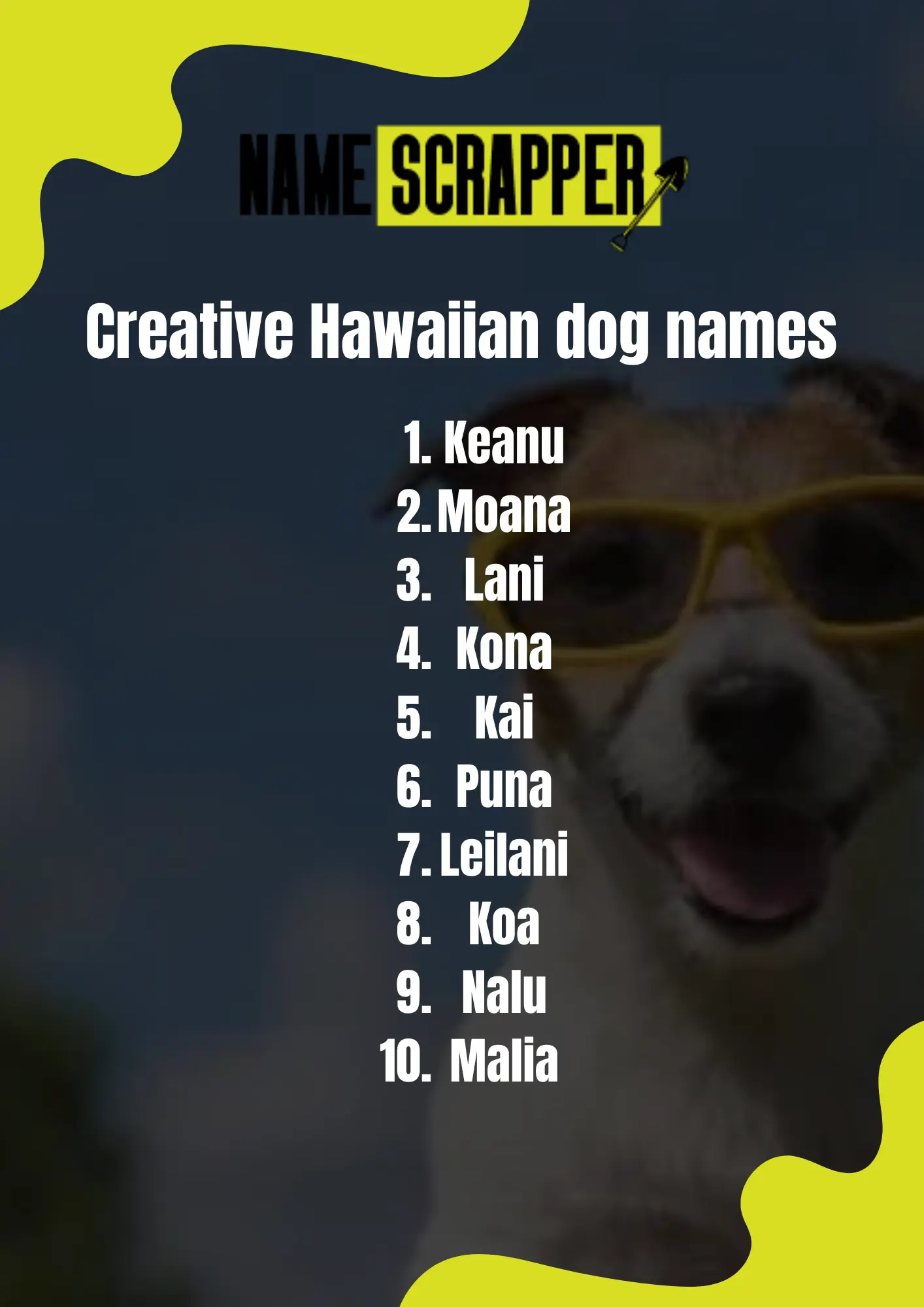 Creative Hawaiian dog names 