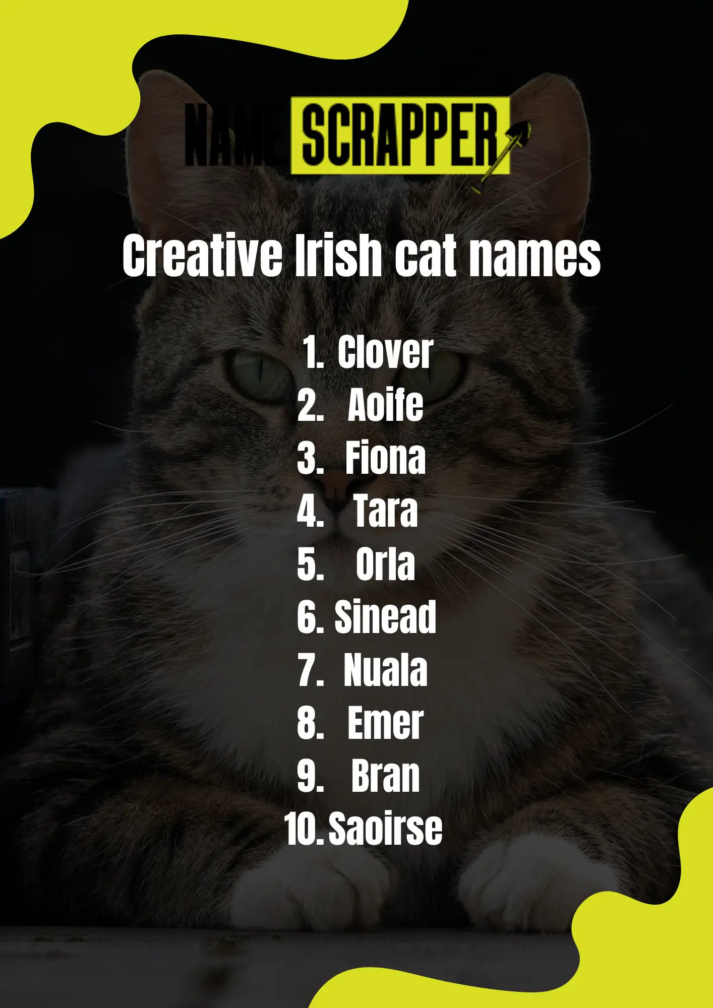 Creative Irish Cat Names