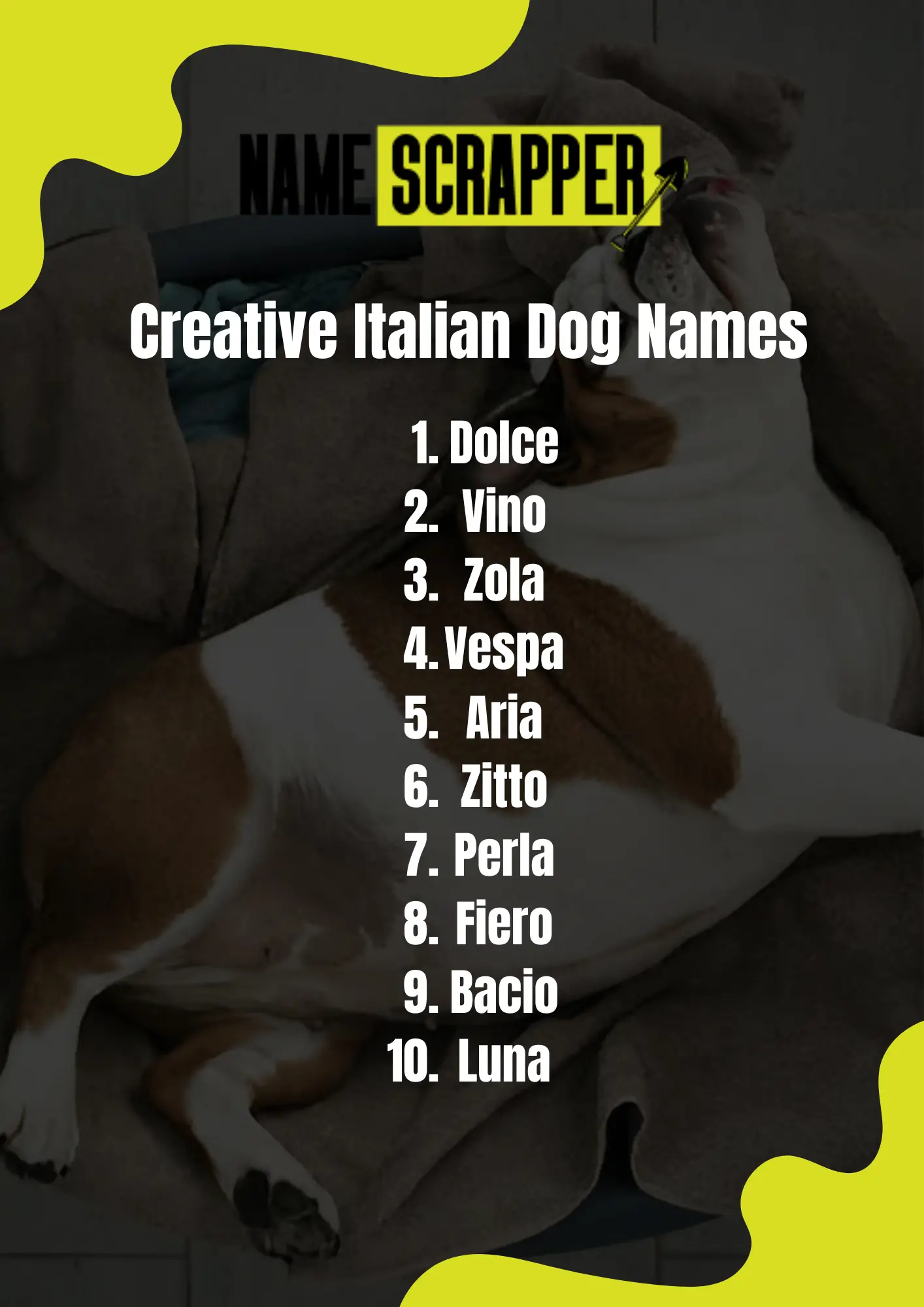 Creative Italian Dog Names