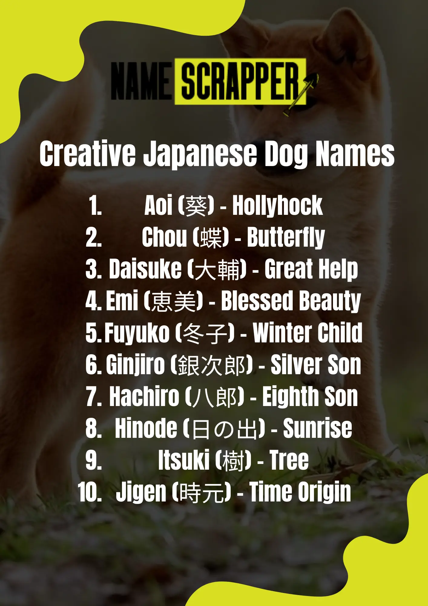 Creative Japanese Dog Names