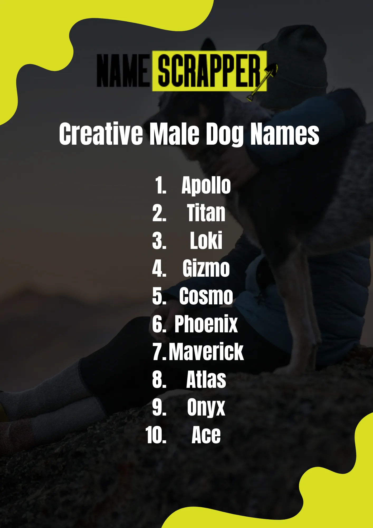 Creative Male Dog Names