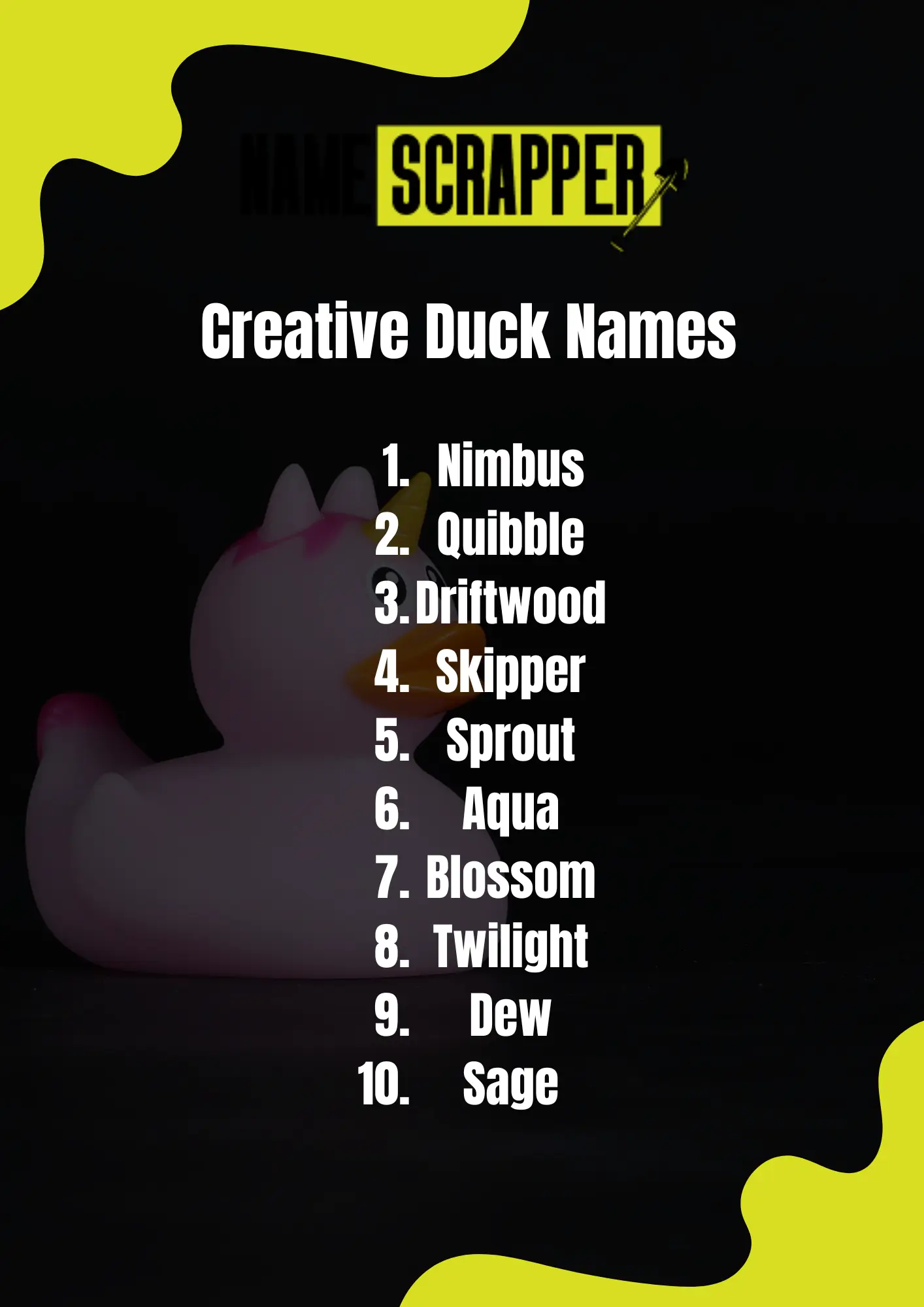 Creative Names for Ducks