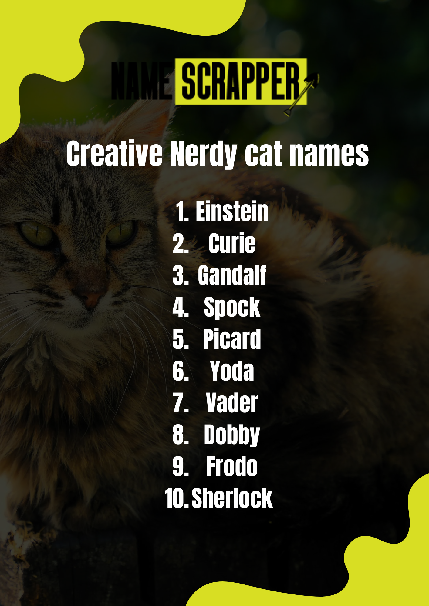 Creative Nerdy Cat Names