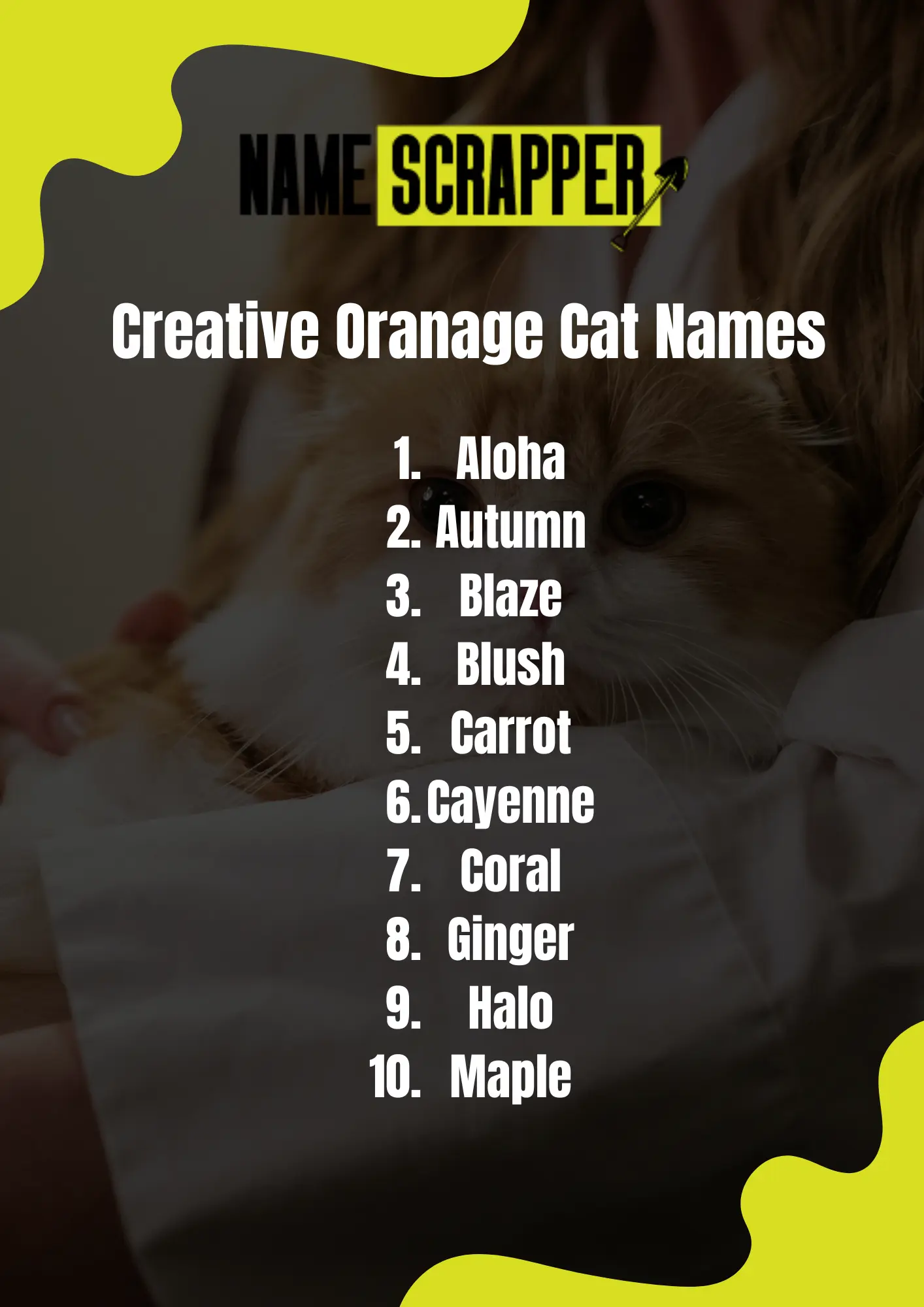 Creative Orange Cat Names