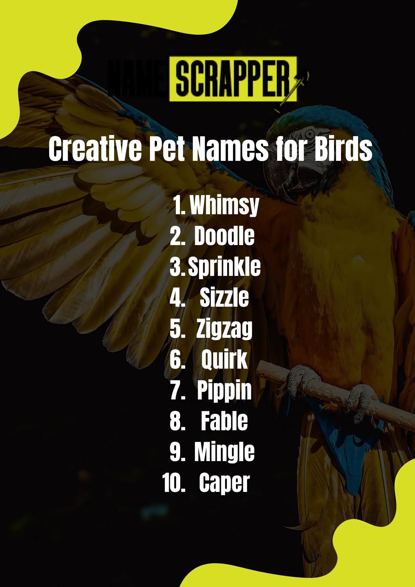 Creative Pet Names for Birds