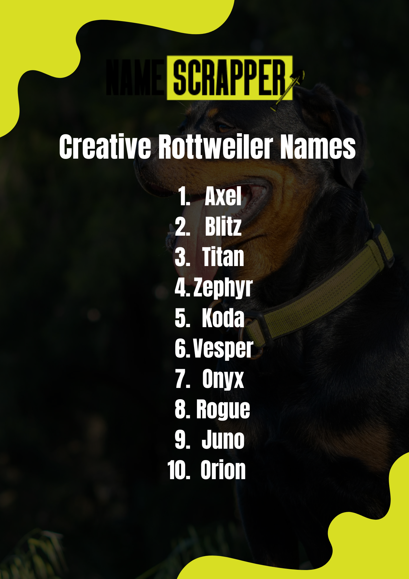 Creative Rottweiler Names