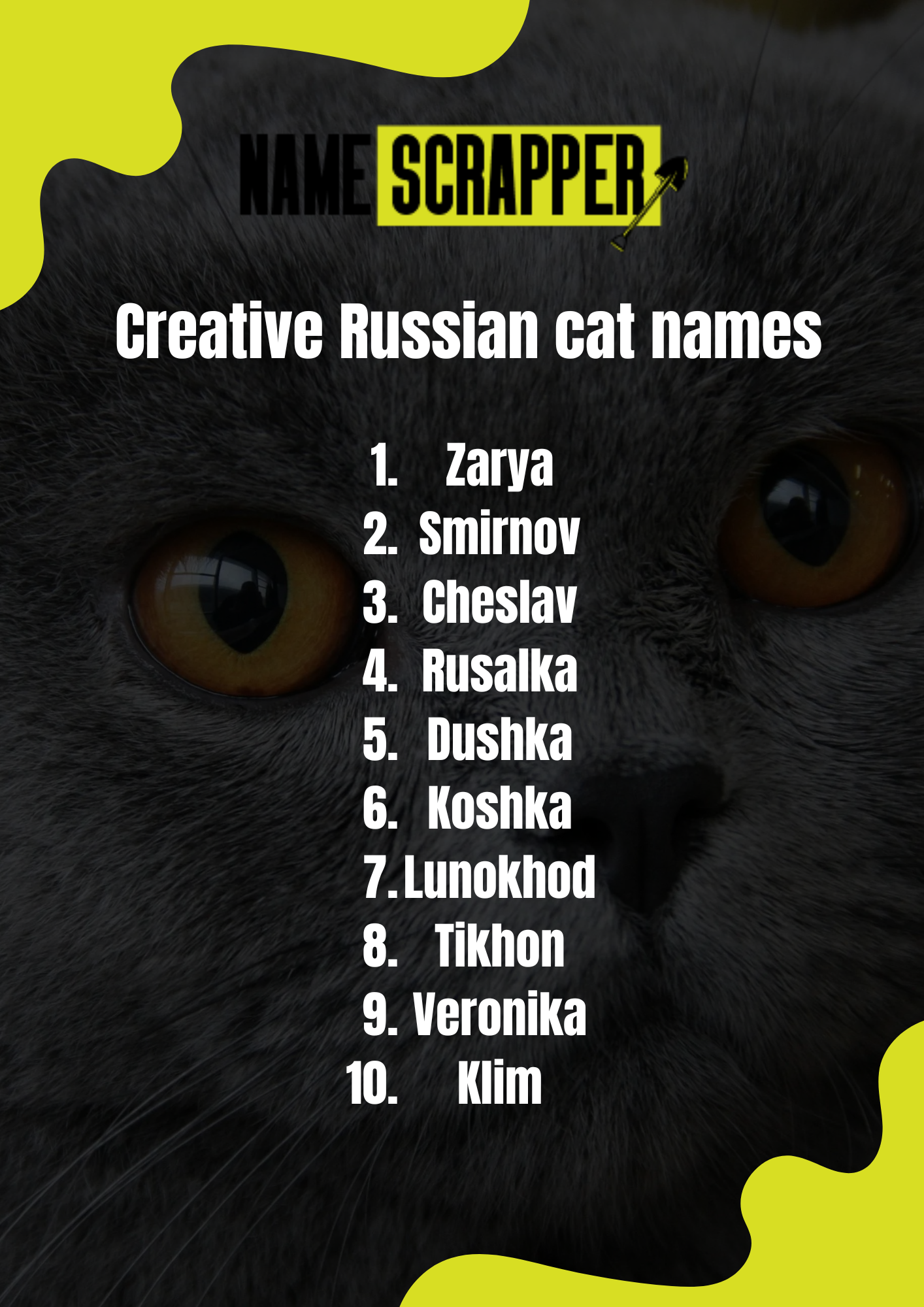 Creative Russian Cat Names