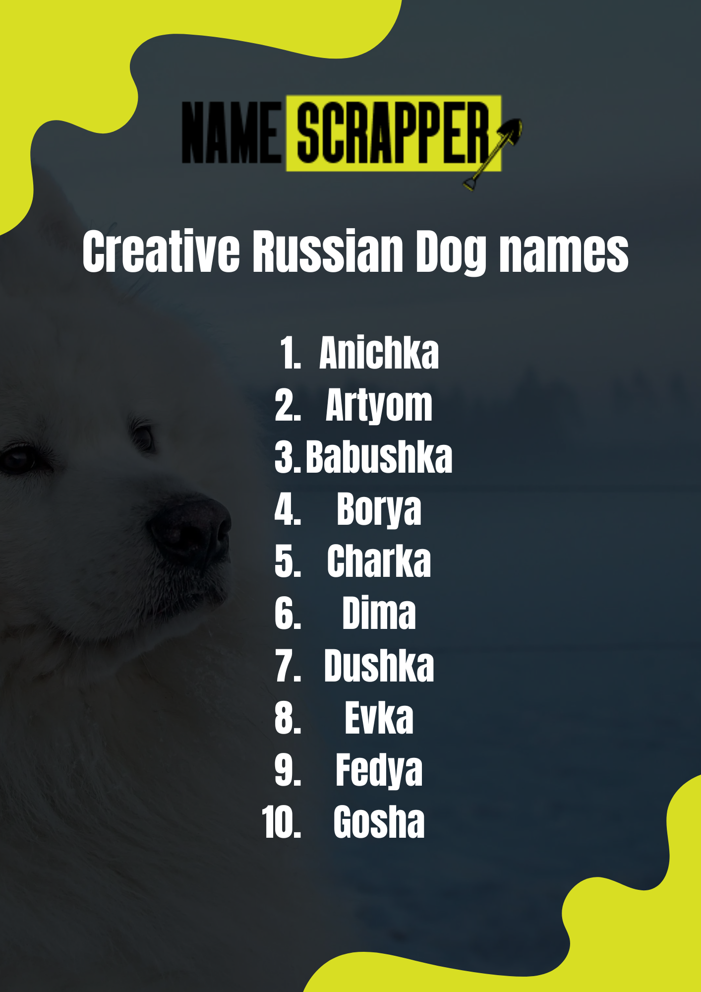 Creative Russian Dog Names