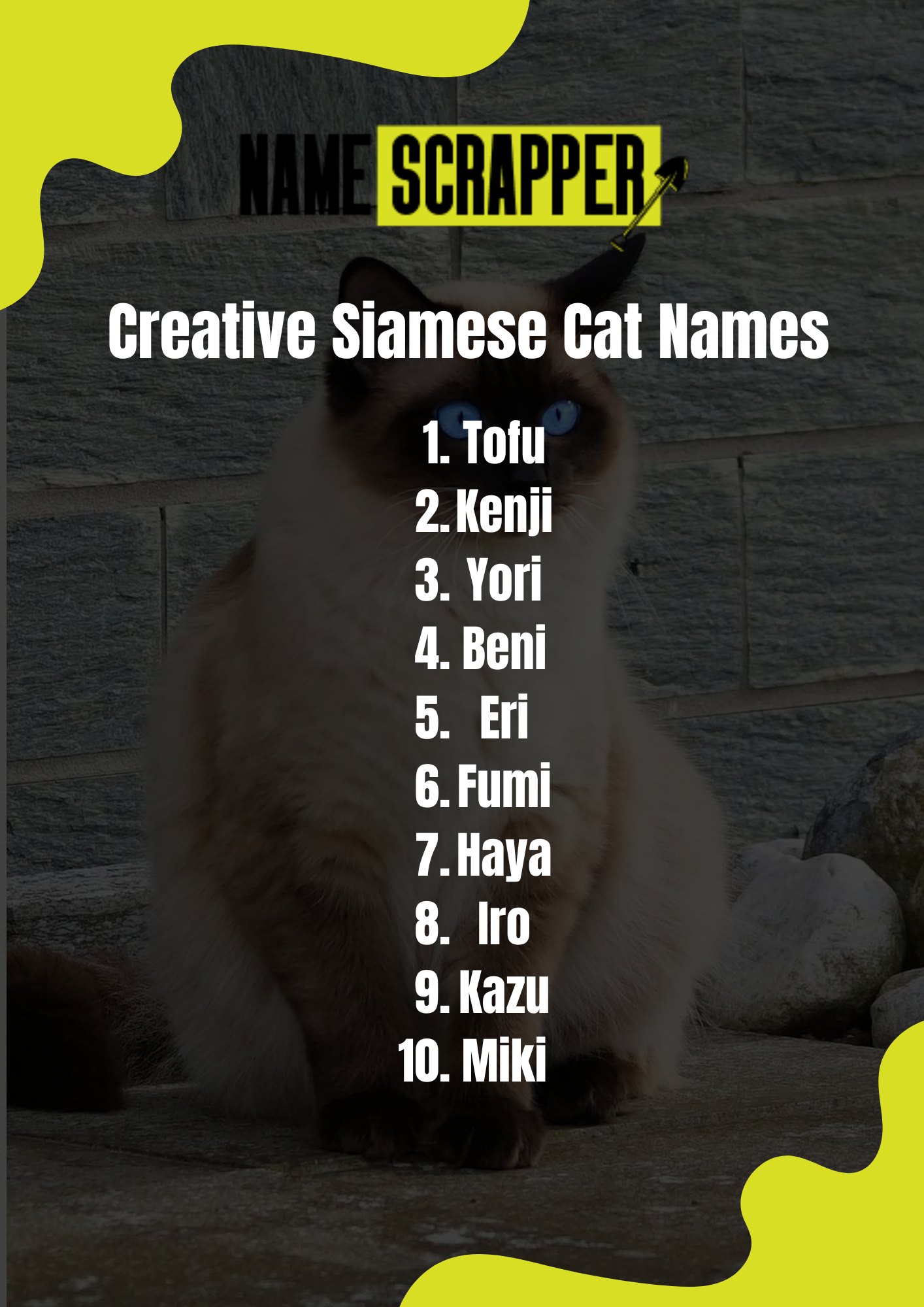 Creative Siamese Cat Names