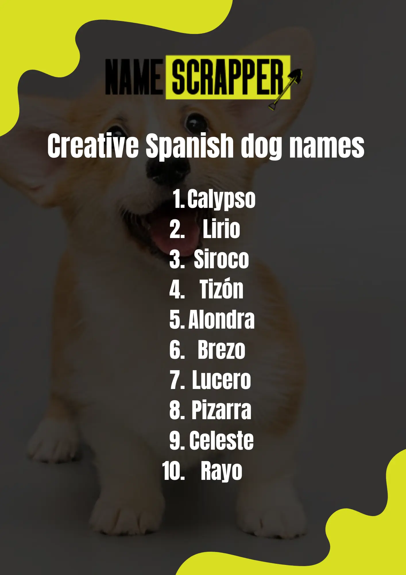 Creative Spanish dog names