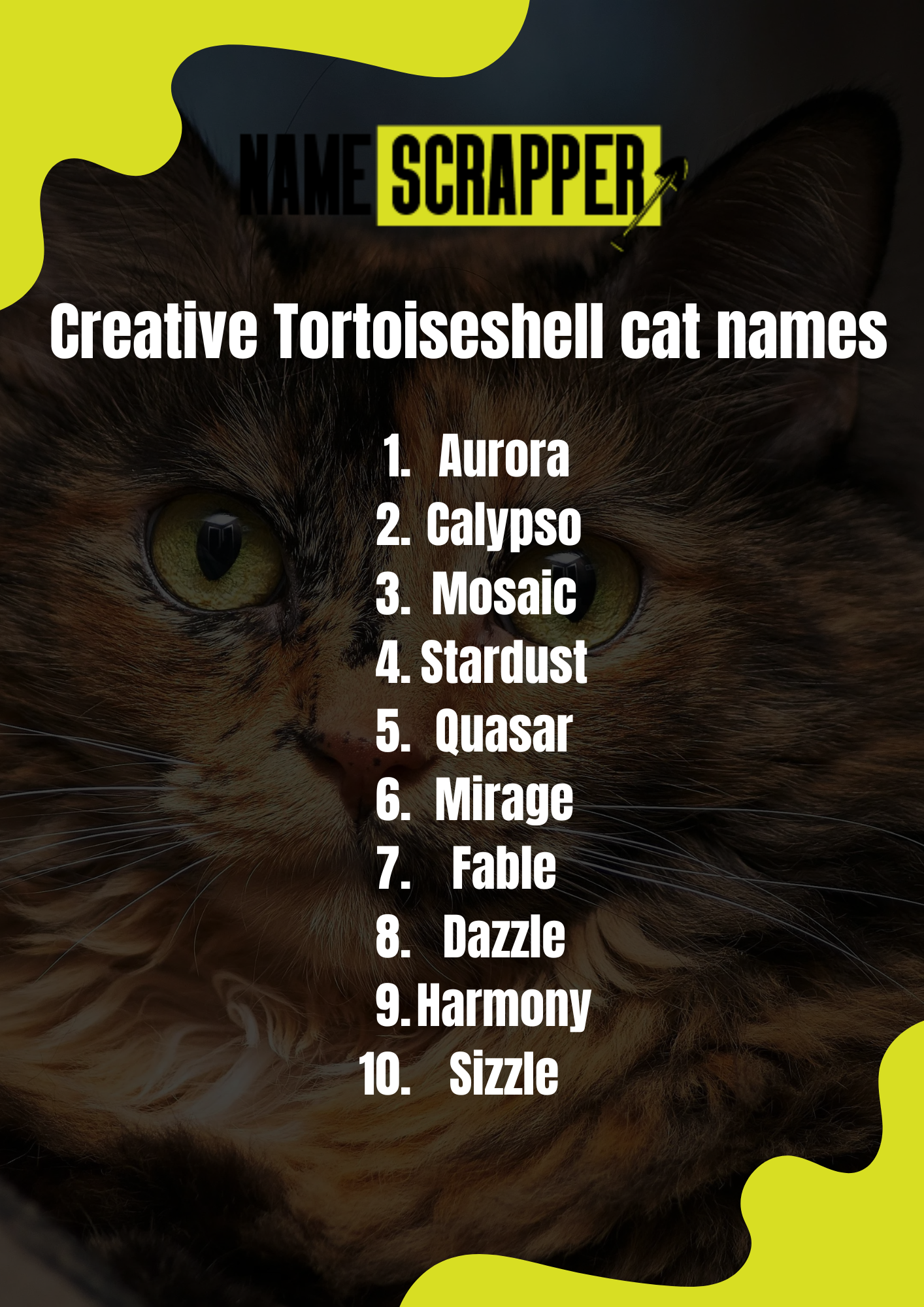 Creative Tortoiseshell Cat Names