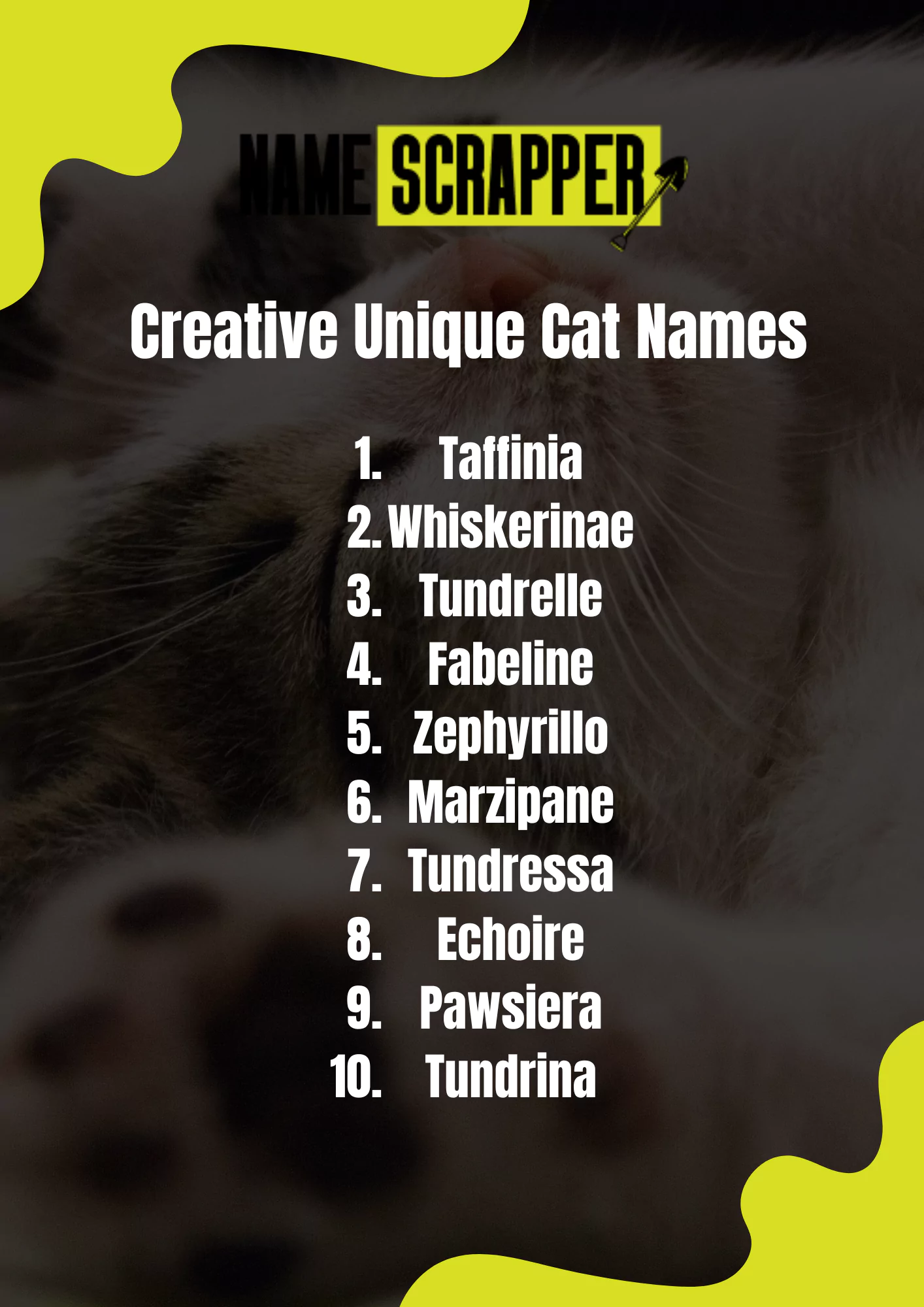Creative Unique Cat Names