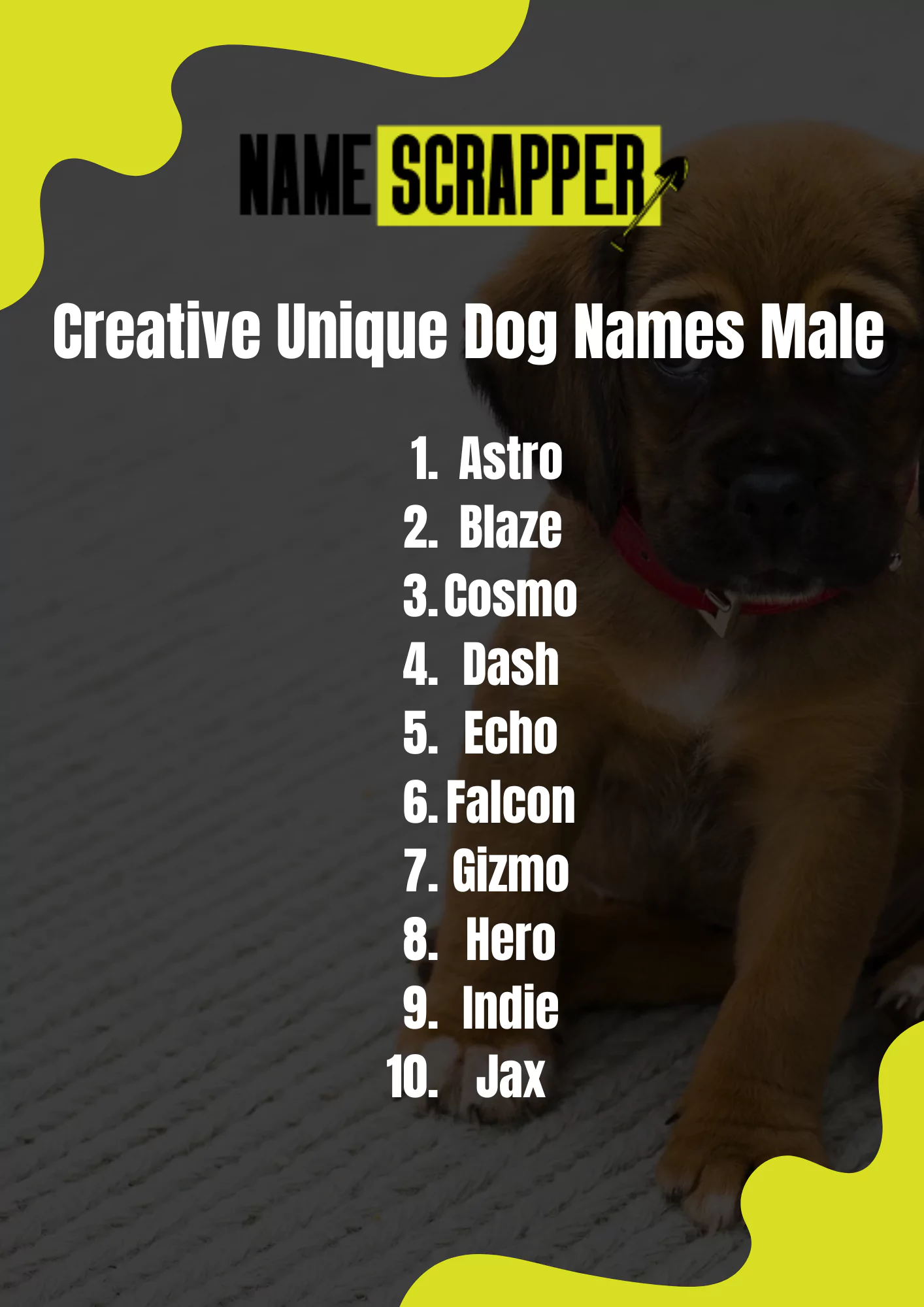 Creative Unique Dog Names Male
