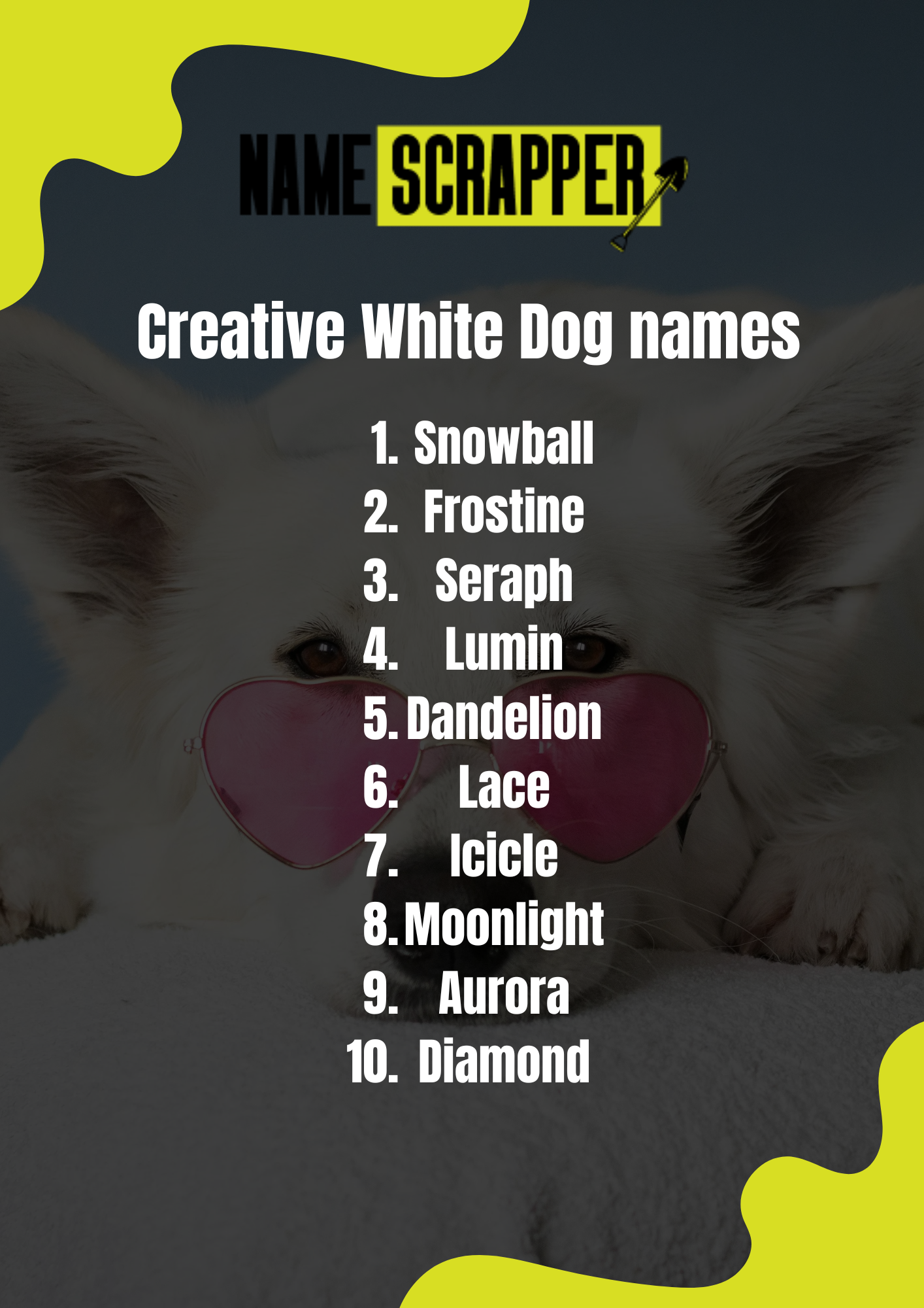 Creative White Dog Names