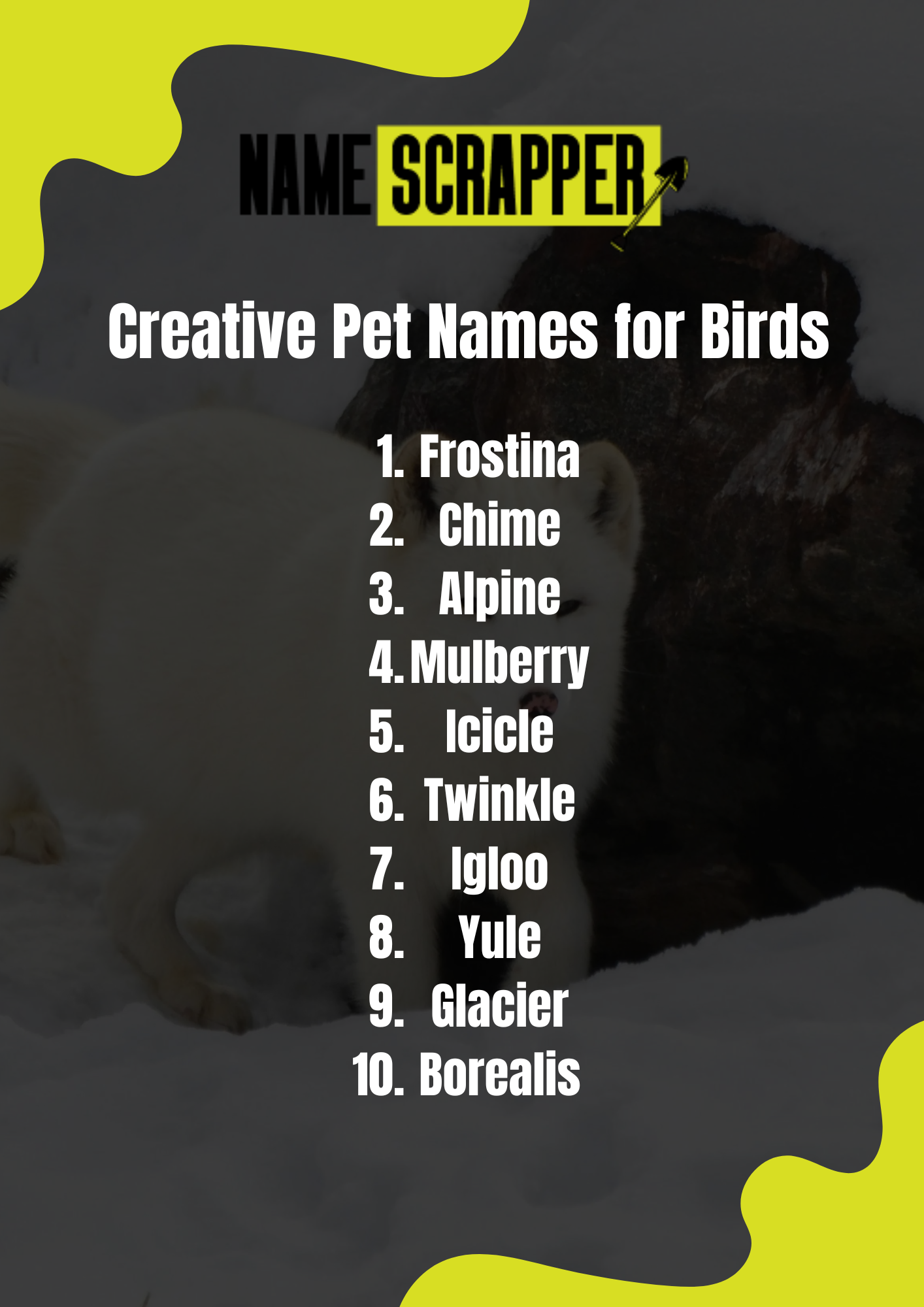 Creative Winter Dog Names