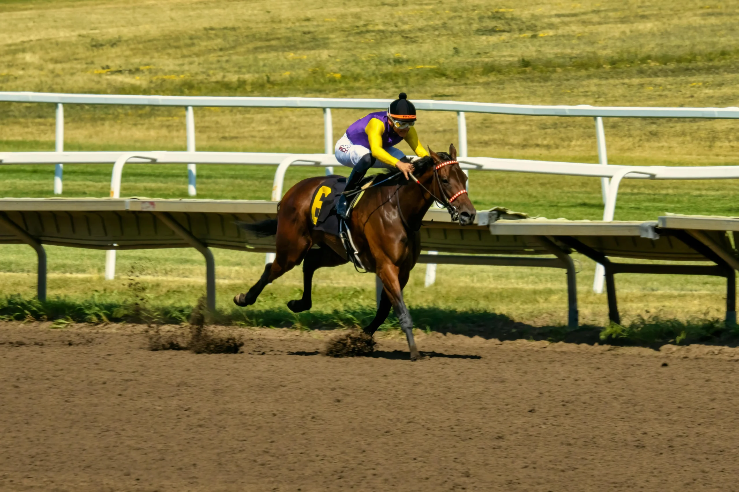 Famous Racehorse Names