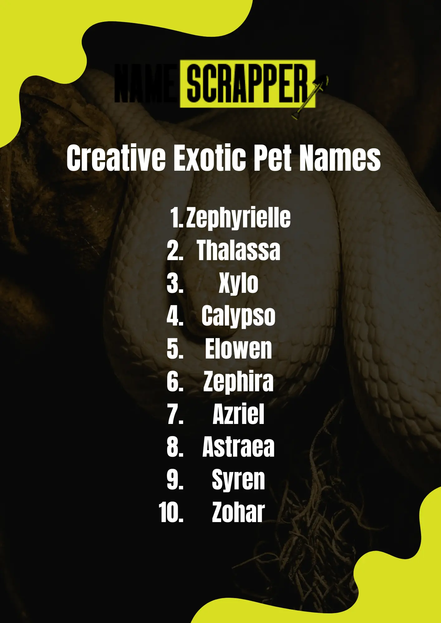 Creative Exotic Pet Names