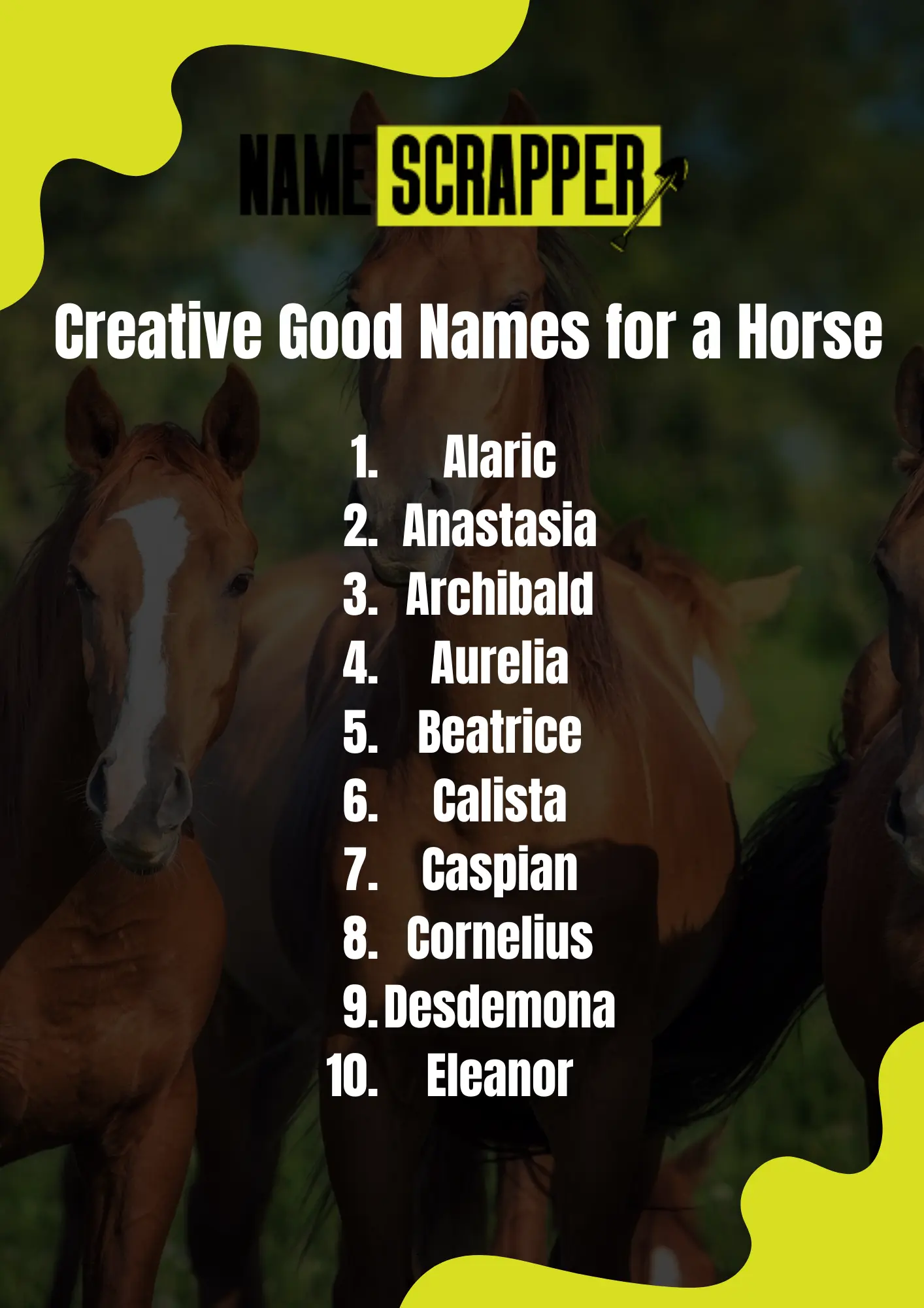 Creative Good Names for a Horse