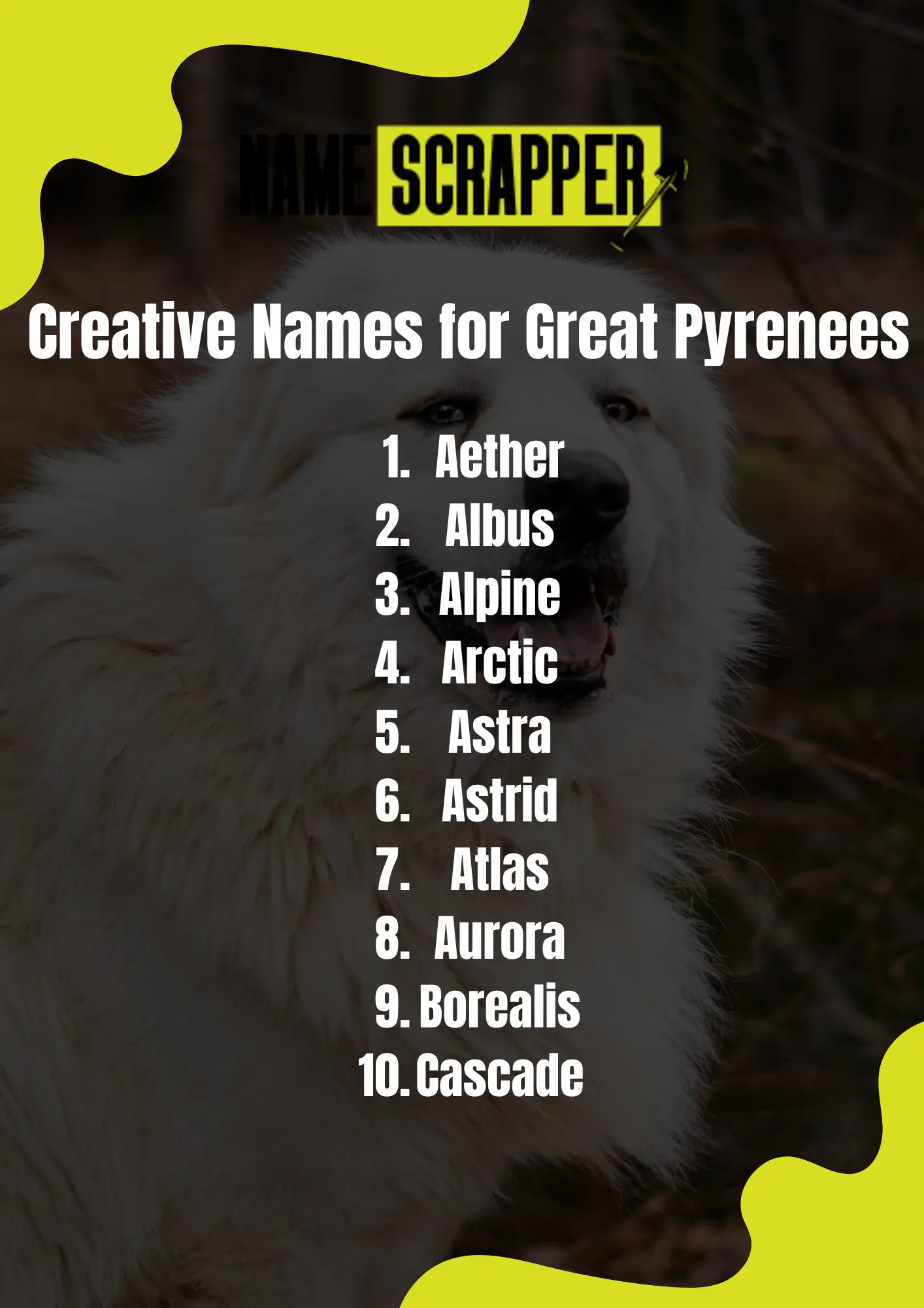 Creative Names for Great Pyrenees