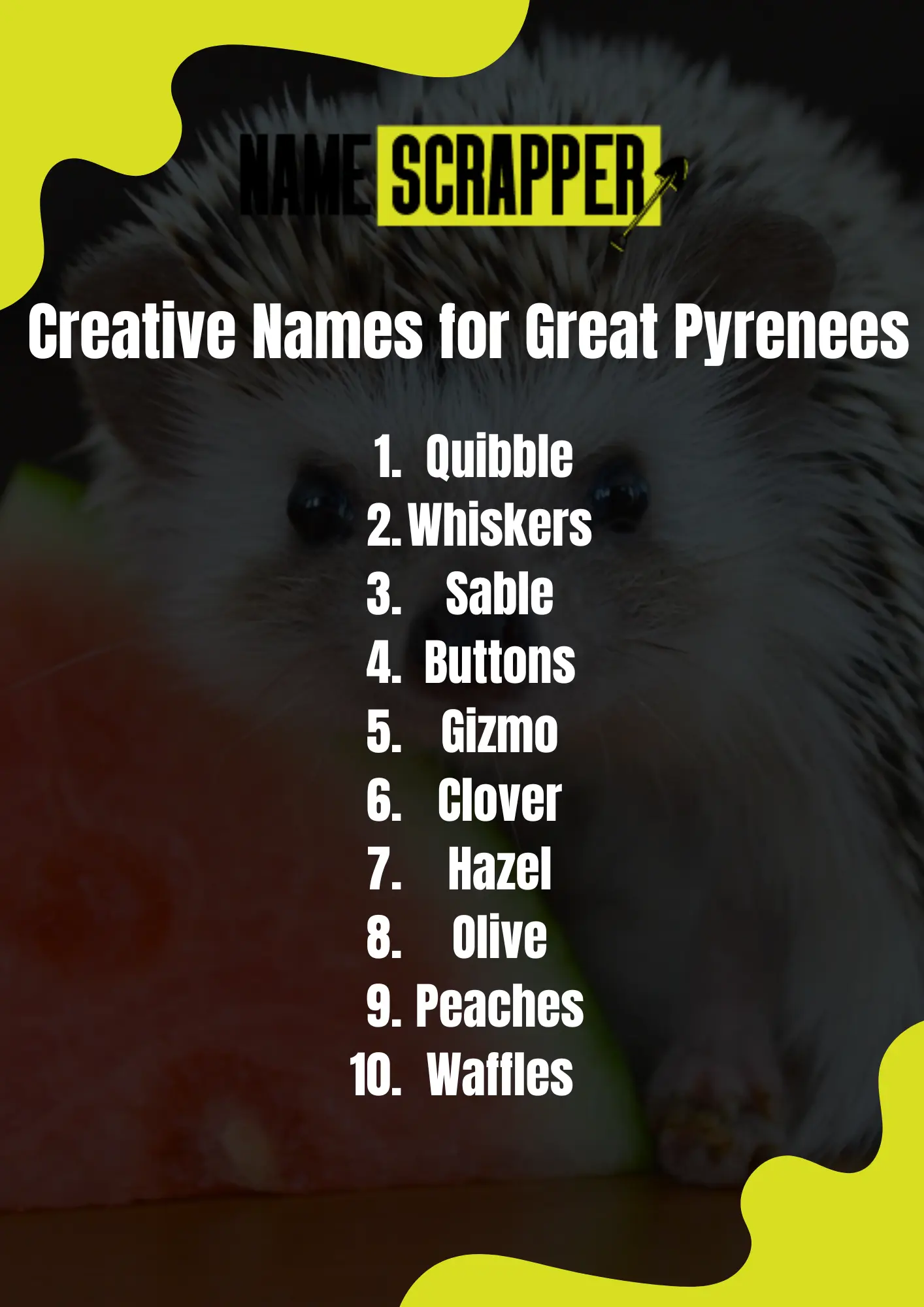 Creative Names for hedgehogs