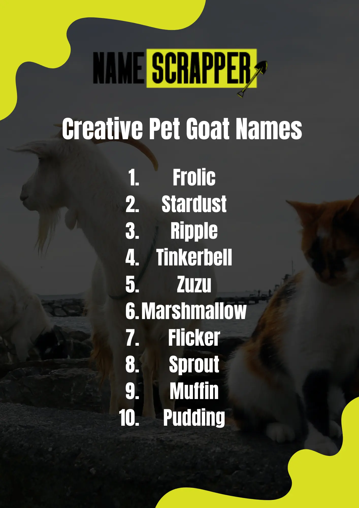 Creative Pet Goat Names