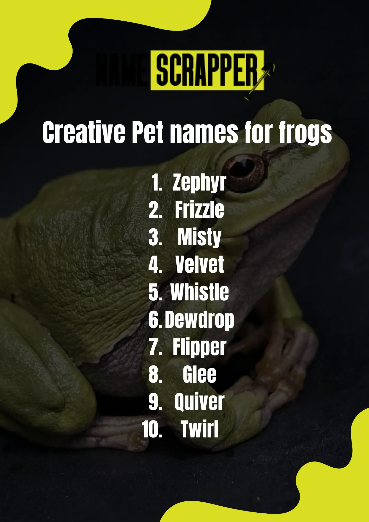 Creative Pet Names for Frogs