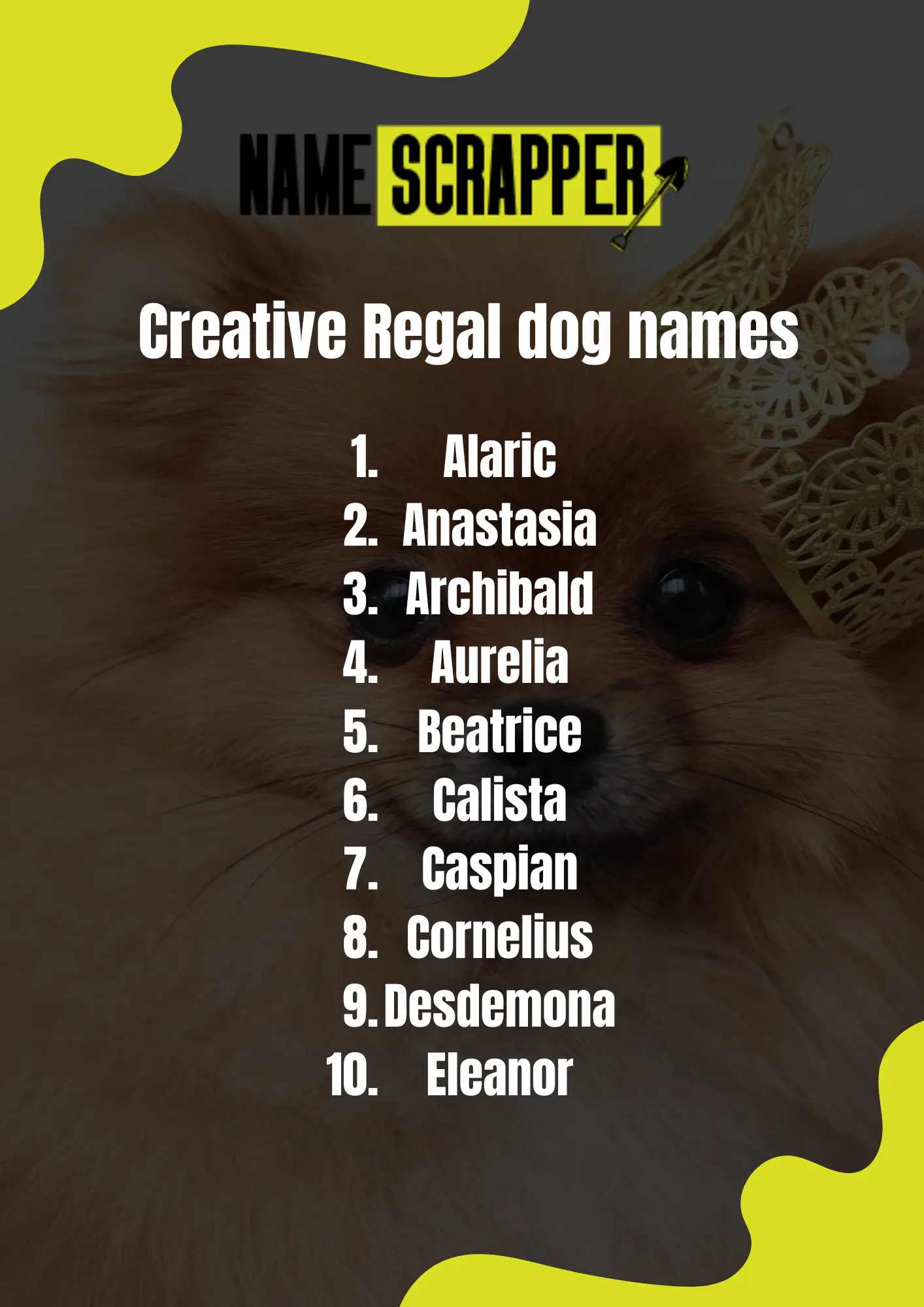 Creative Regal Dog Names