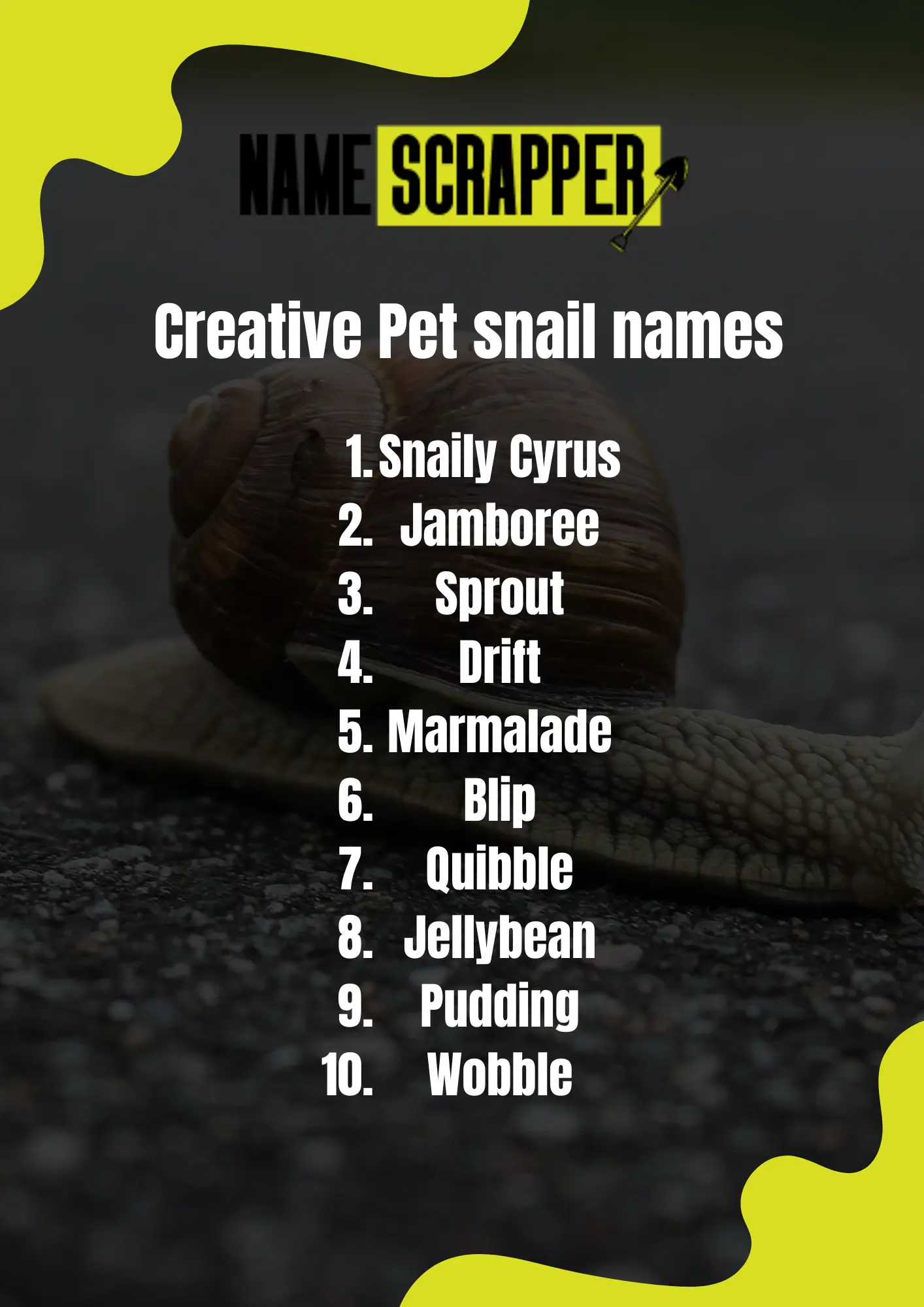 Creative Pet Snail Names